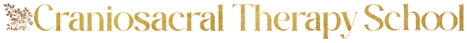 Craniosacral Therapy School