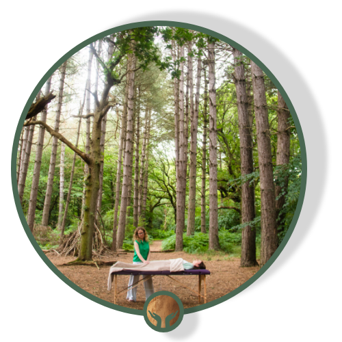 Sam Lowi teaching Craniosacral Therapy in the woods