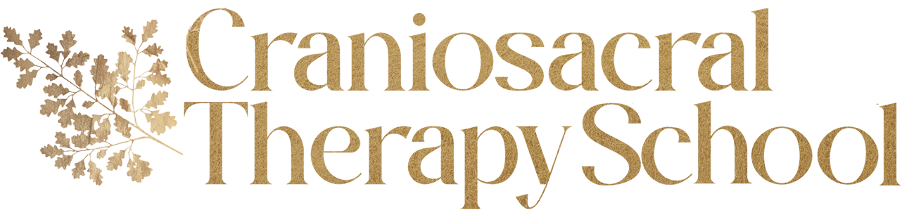 Craniosacral Therapy School