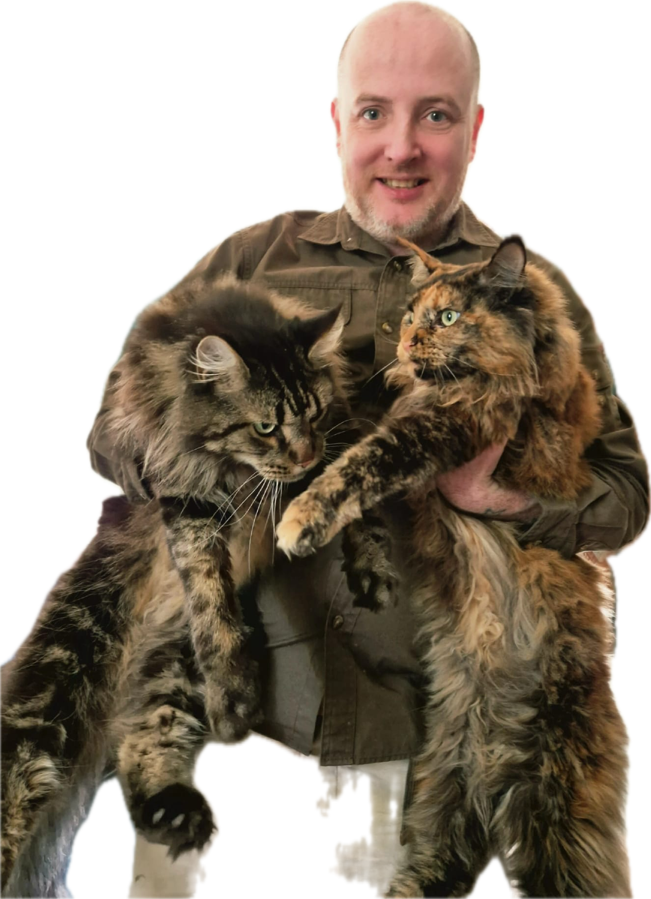 A bald man smiling while holding two large, long-haired cats, one black and tan tabby and the other tortoiseshell with orange, black, and cream fur.