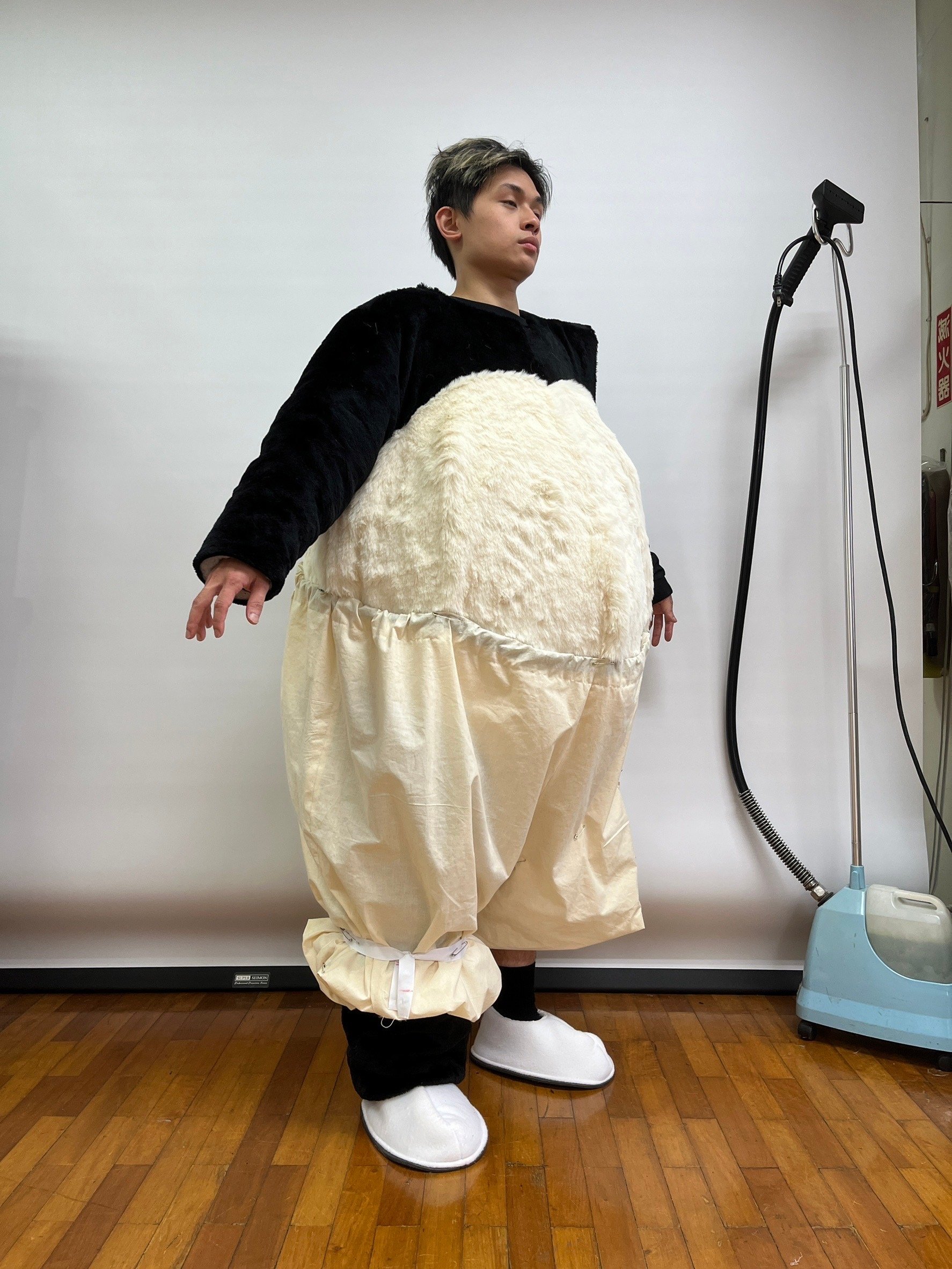 Mascot Costume