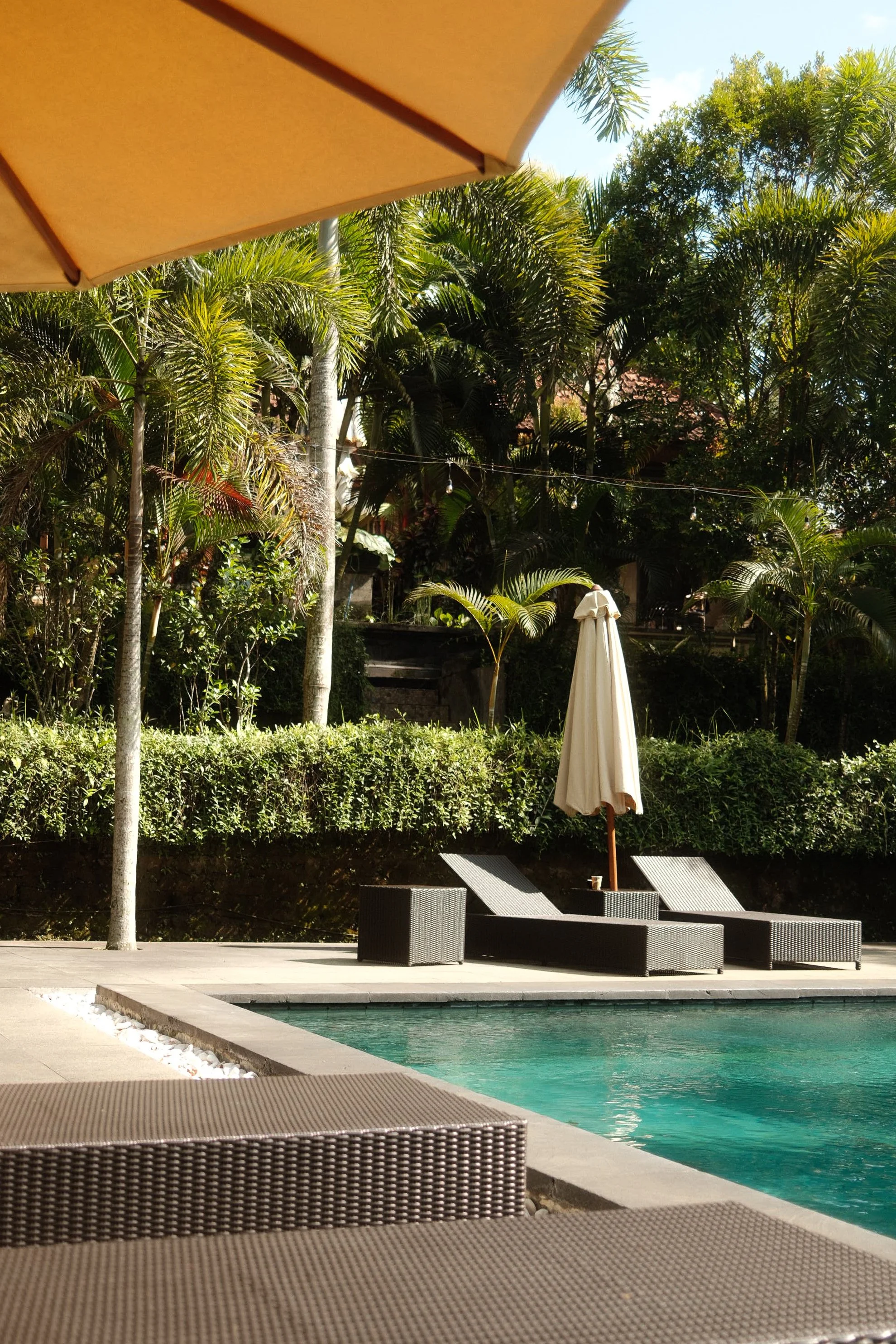 Im Poolbereich eines Resorts, mit Sonnenliegen und Sonnenschirmen, umgeben von tropischen Pflanzen und Bäumen, unter klarem Himmel.