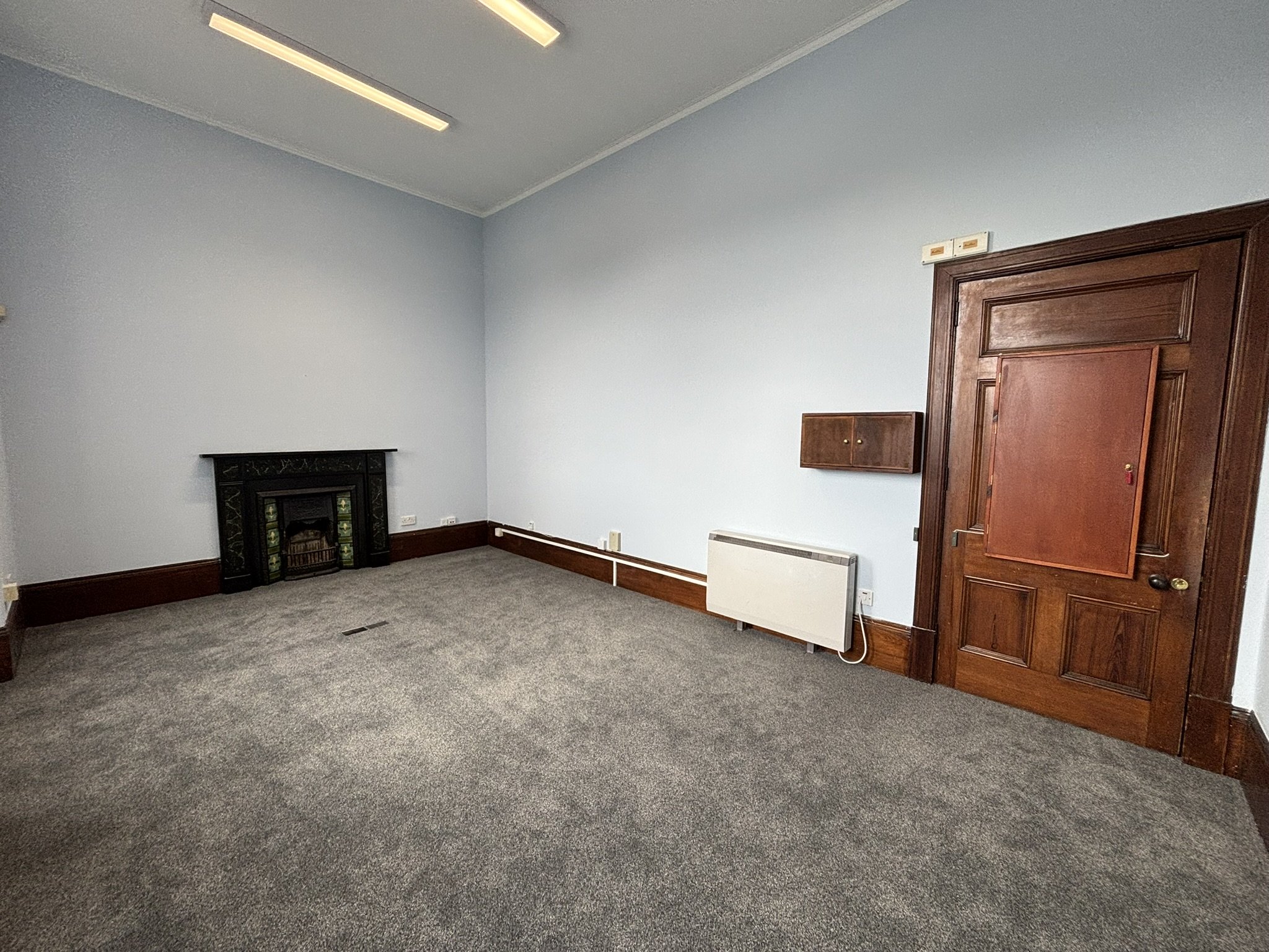 A room with gray carpeted floor, light blue walls, a wooden door, a small wooden cabinet, electric heater, and a black fireplace.