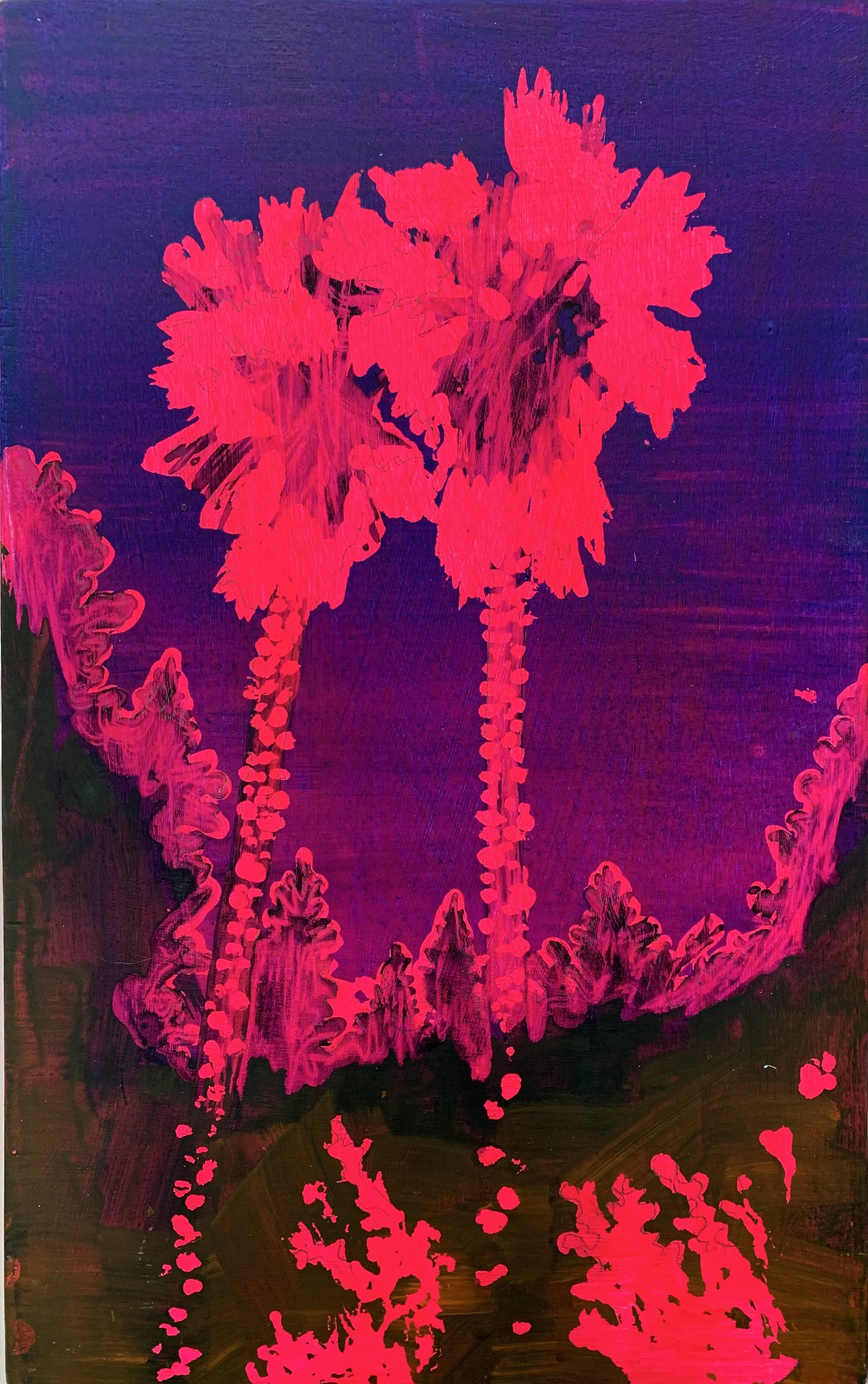 Palms 1