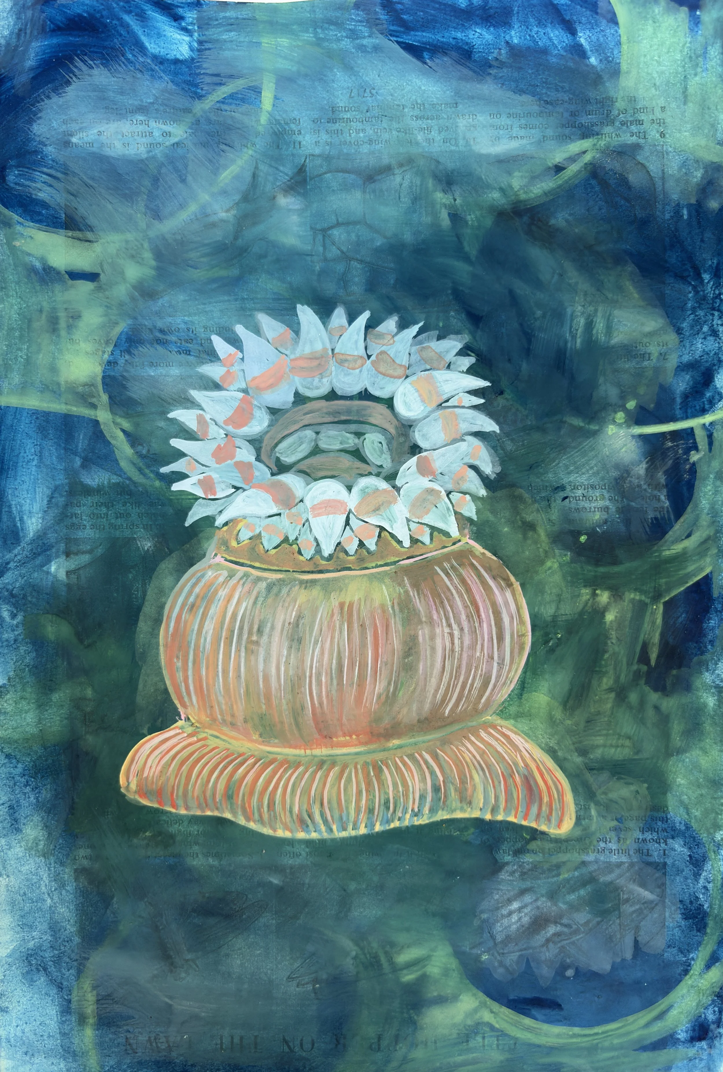 Night Anemone