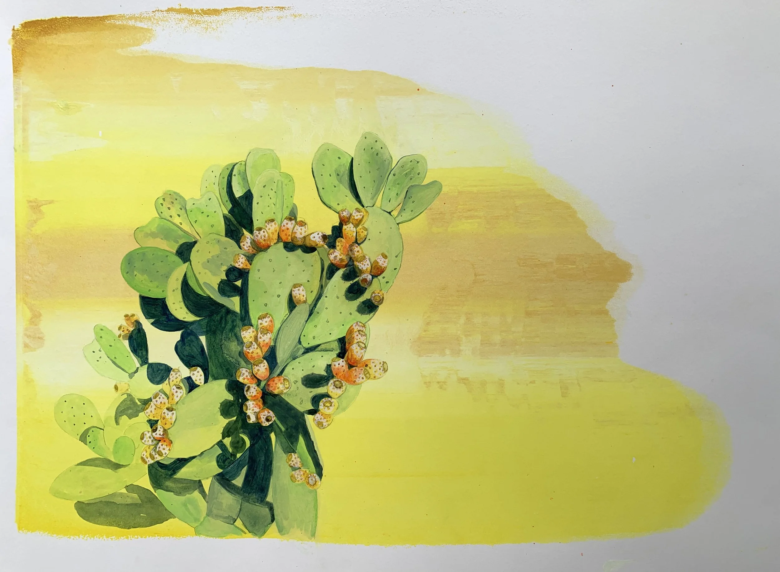 Nopal nectar-55 x 40cm-acrylic-watercolour-gouache on paper .jpeg