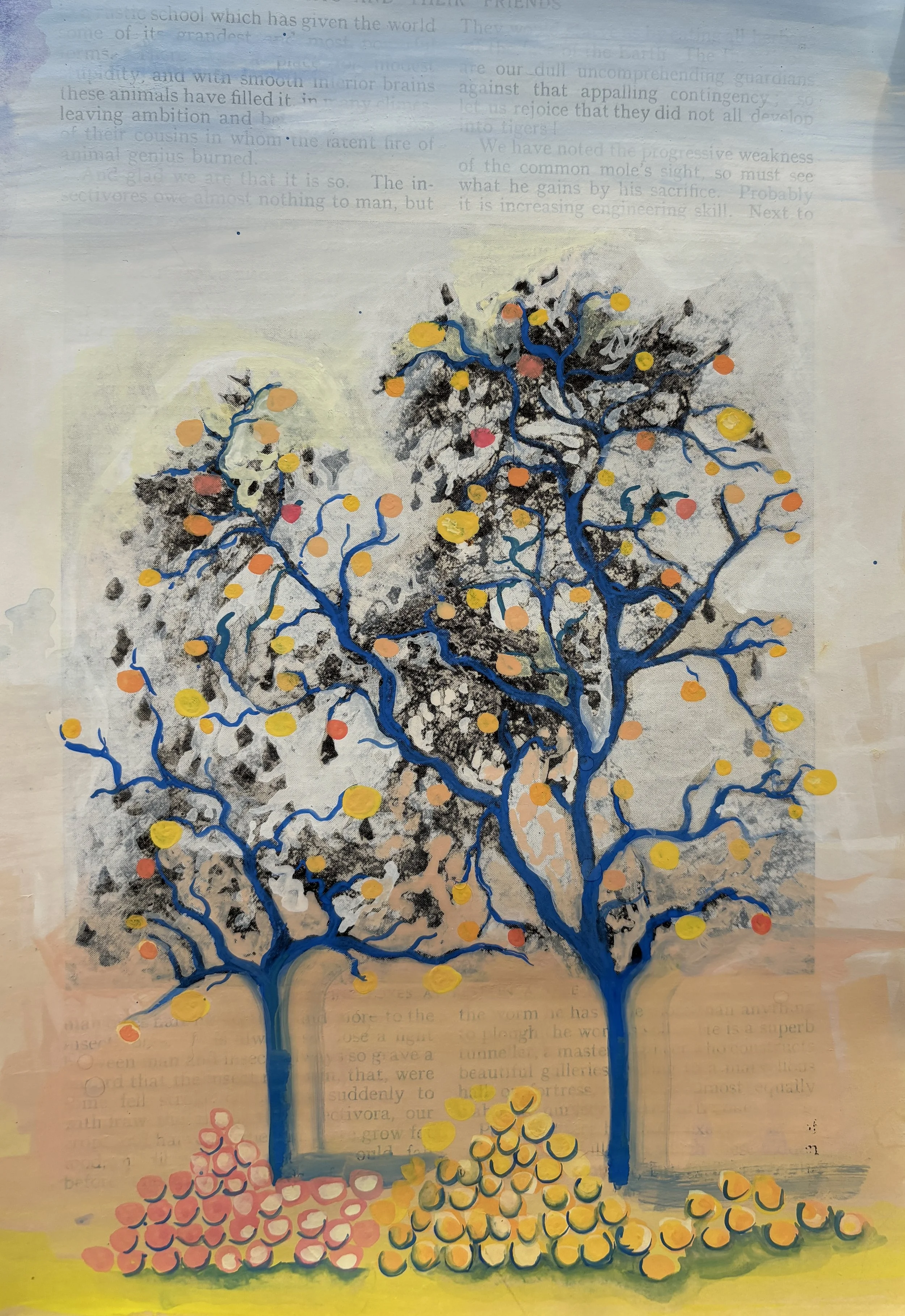 Windfall