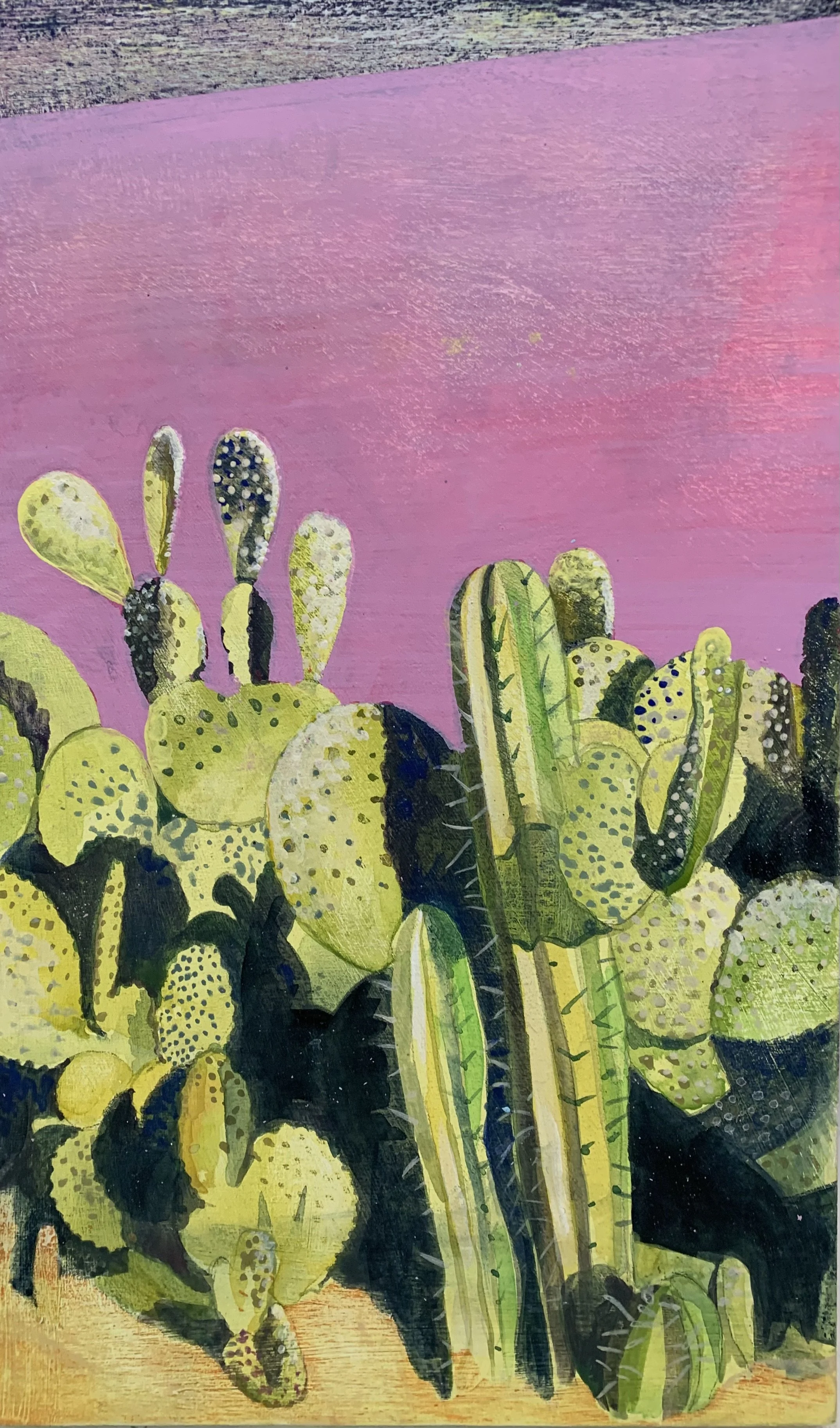  Cactus1-20 x30cm-acrylic-watercolour-gessoed board.jpeg