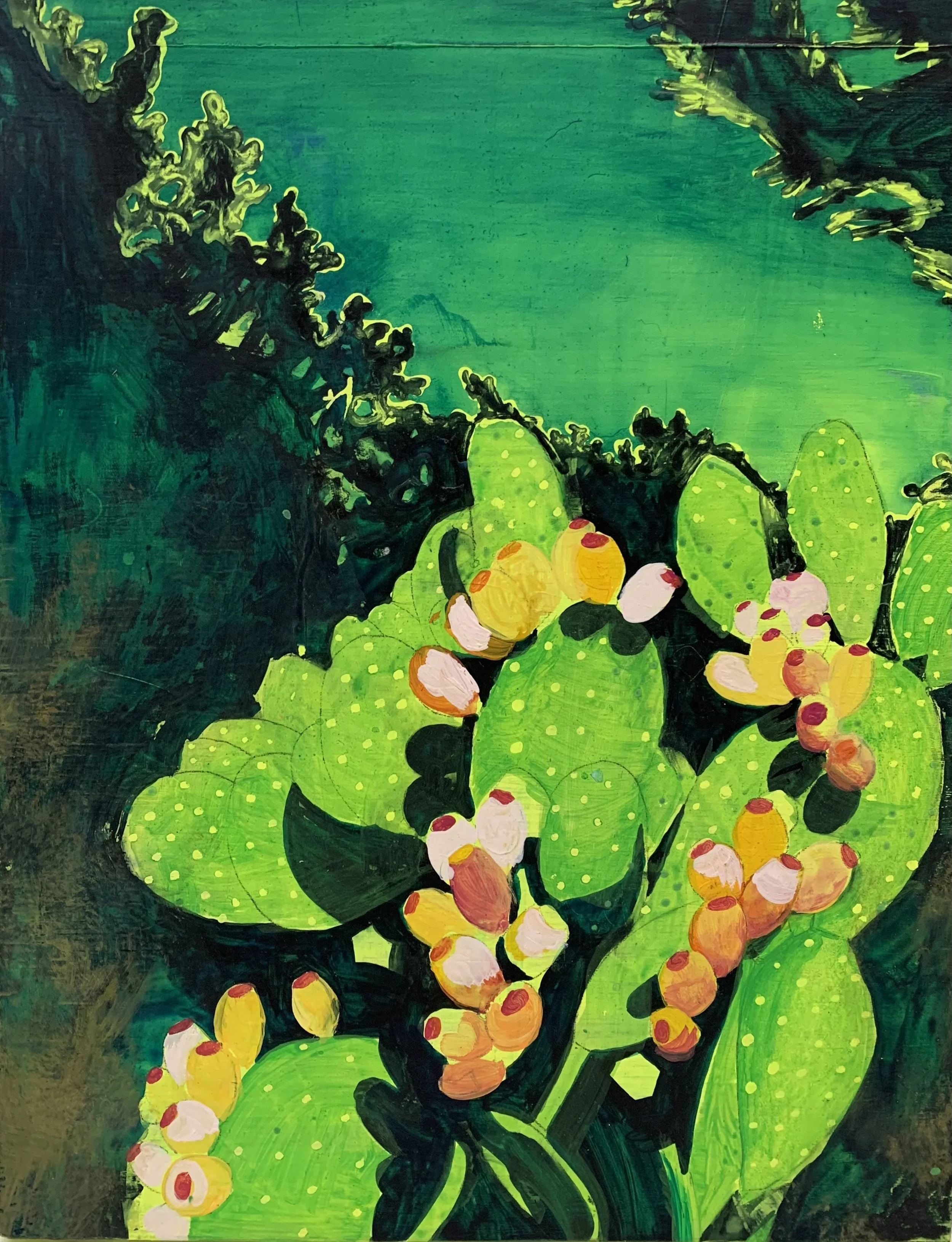 Nopal Dreams