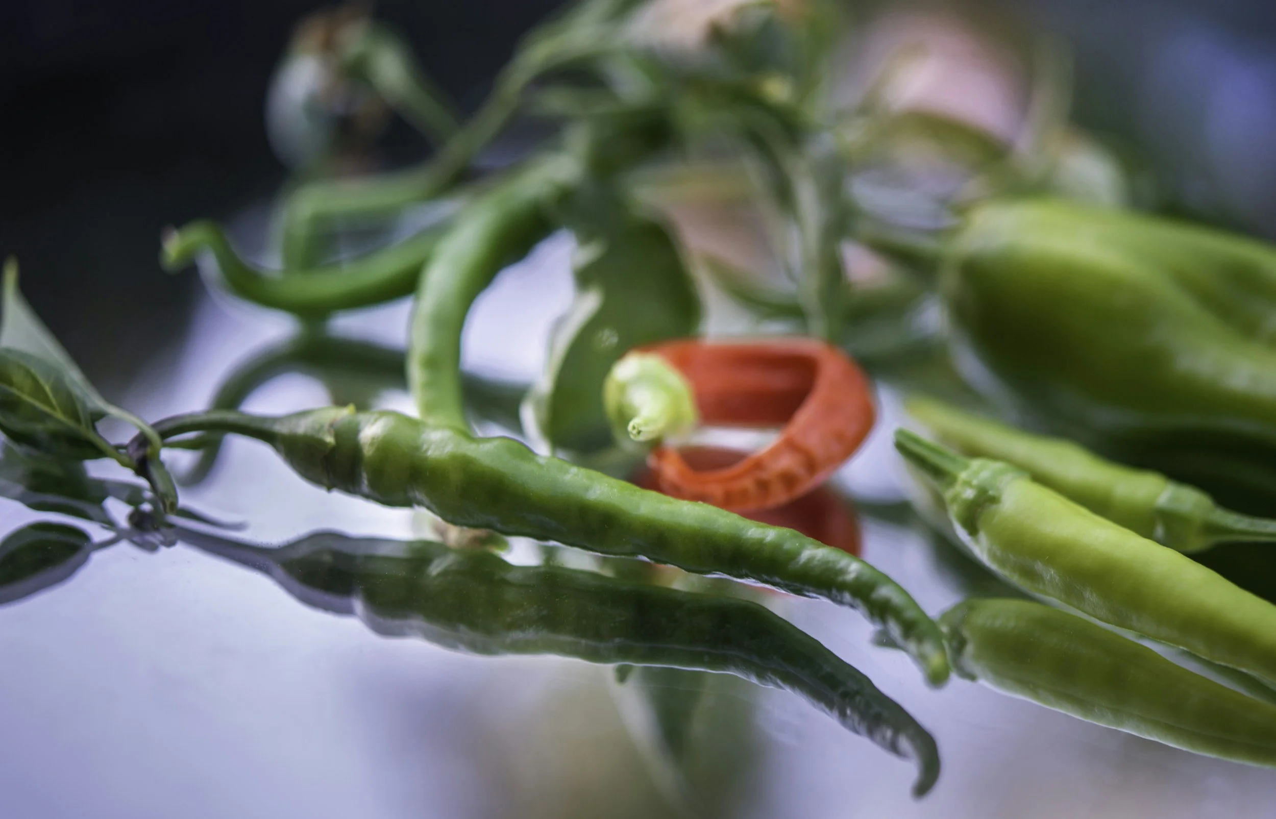 Close-up view of green chili peppers and a single red chili pepper on a reflective surface.