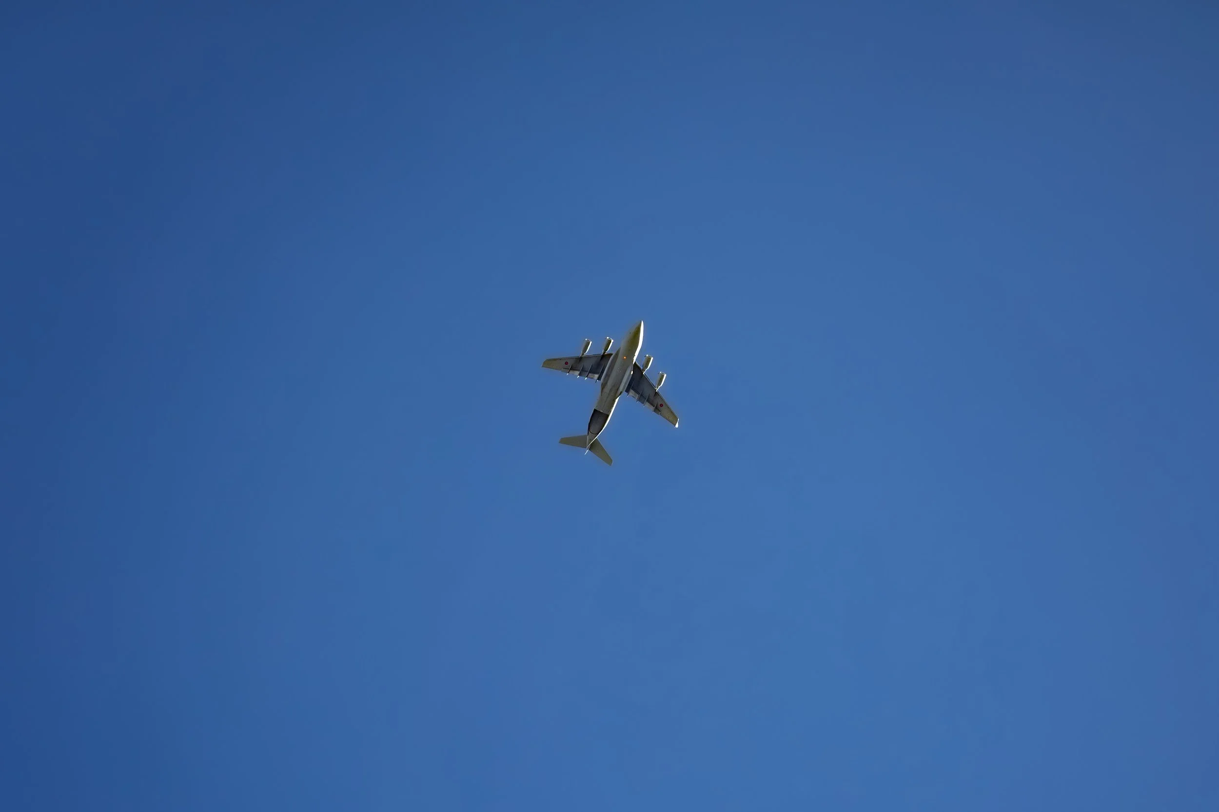 1000116363.jpg