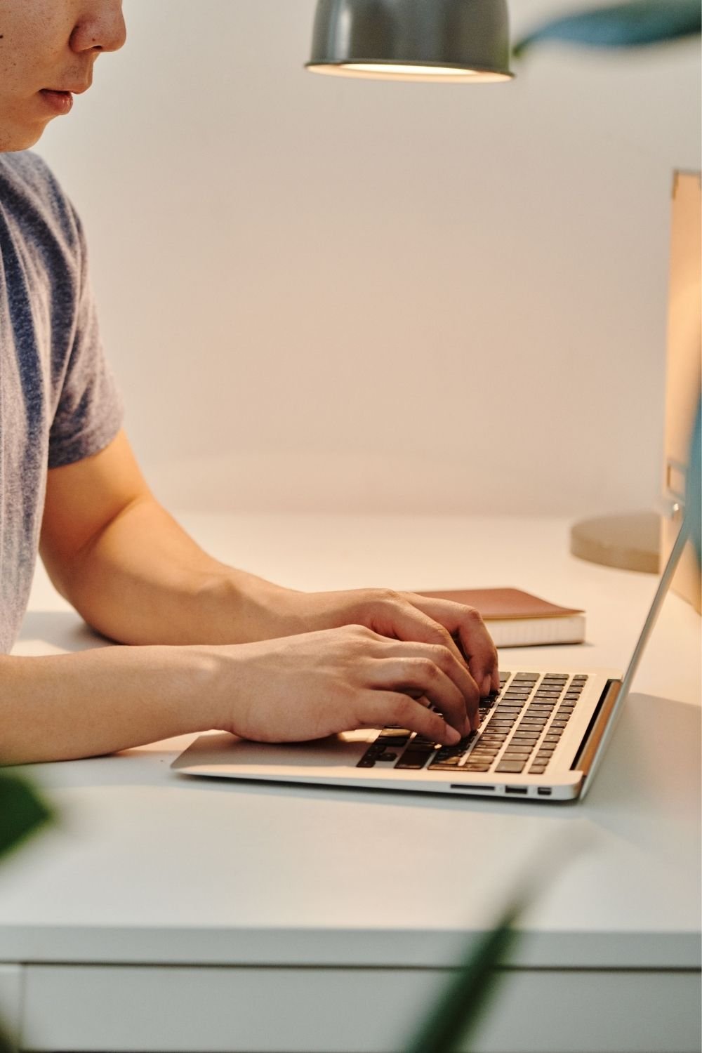 Person using a laptop to access information and resources from a multiple chemical sensitivity foundation.