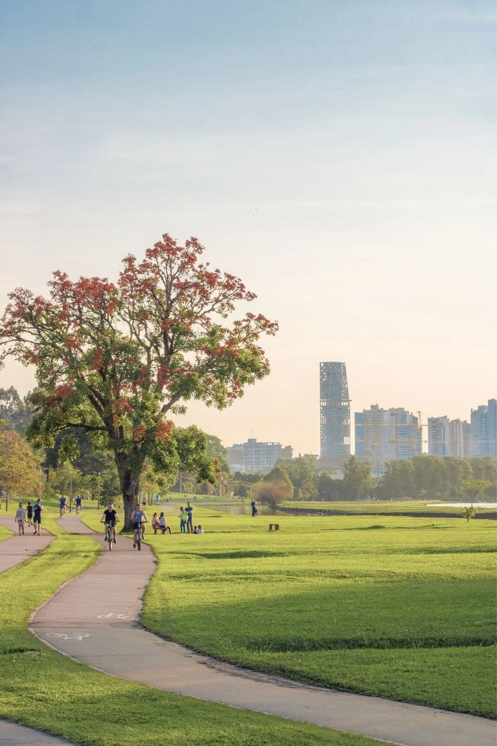 Green public park and open outdoor space representing environmental wellness and healthy indoor air quality awareness.