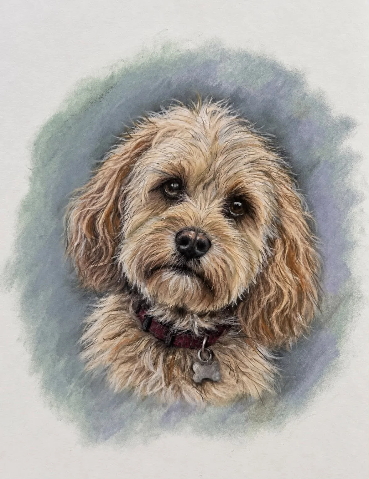 Reggie — Commissioned Pet Portrait
Soft Pastel & Pastel Pencil