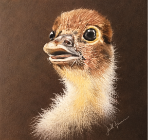 Soft Pastel & Pastel Pencil