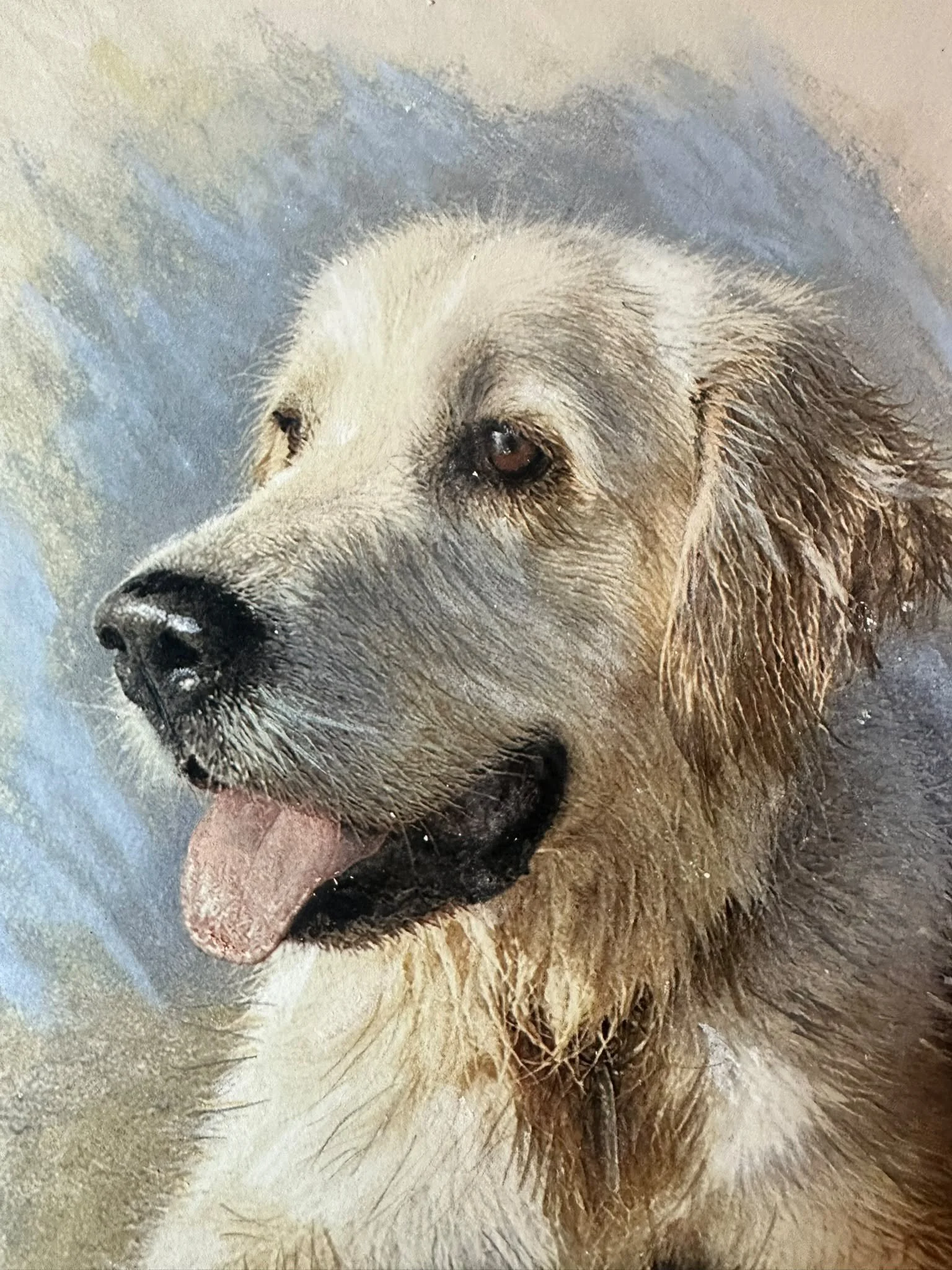 Soft Pastel & Pastel Pencil