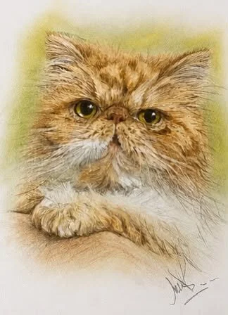 Soft Pastel & Pastel Pencil