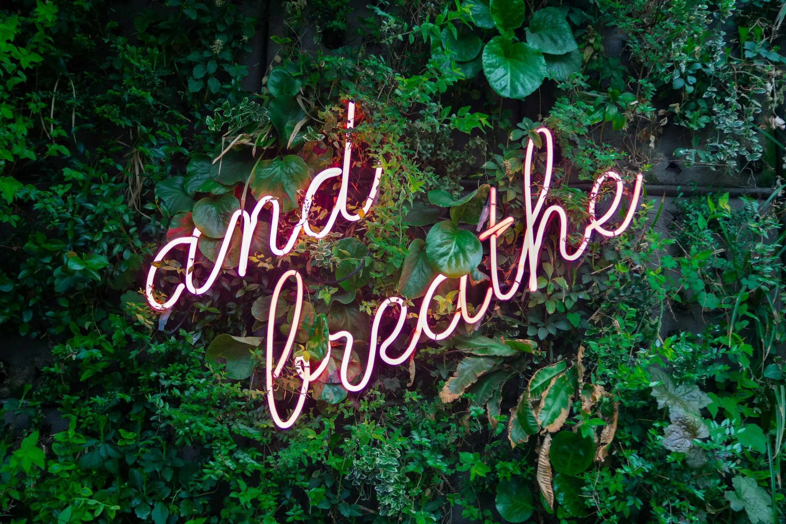 Pink neon sign with cursive writing that reads 'chill out' surrounded by green foliage and leaves.