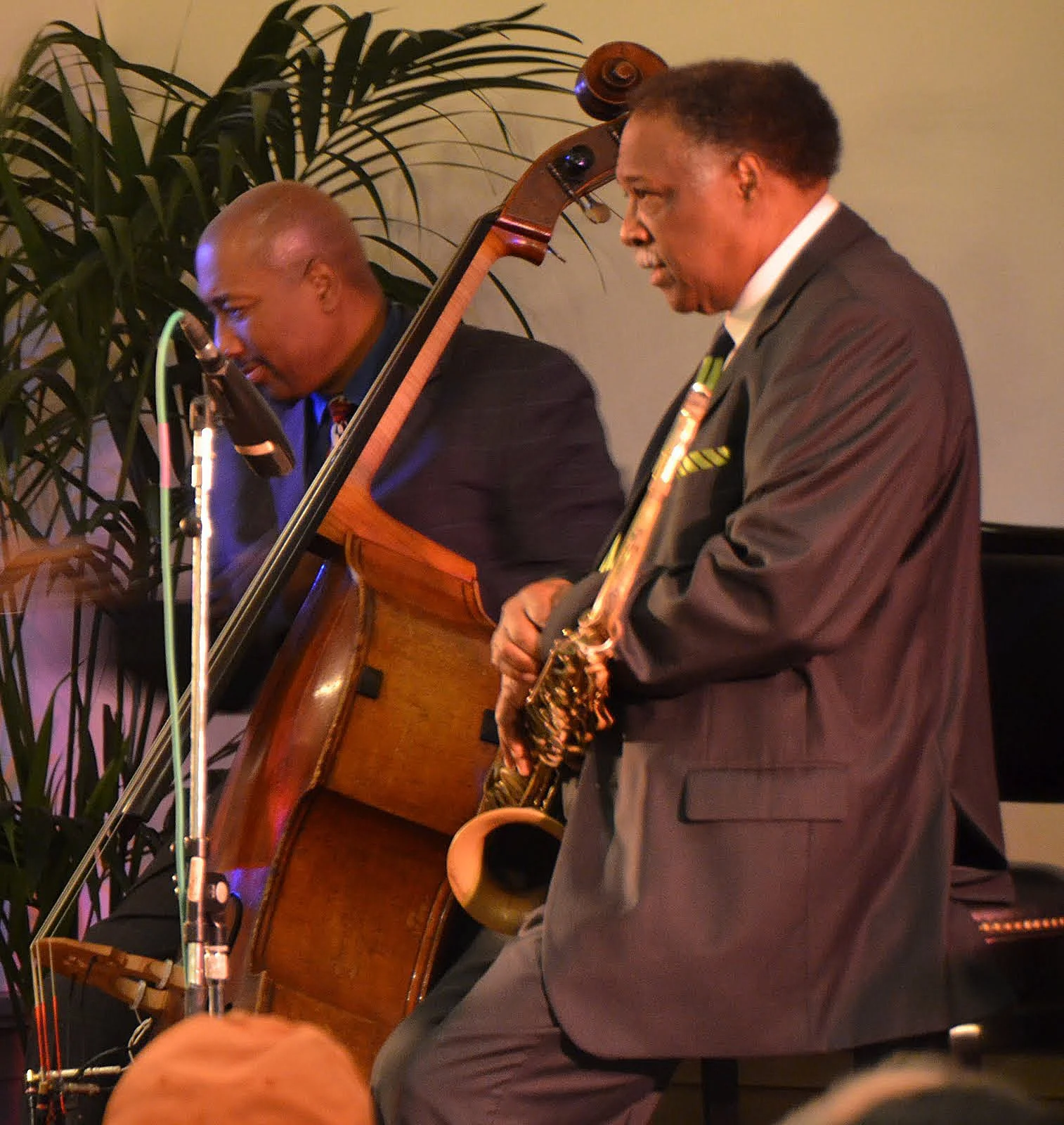Two musicians are performing indoors; one is playing the double bass, and the other is playing the saxophone, with a large green plant in the background.