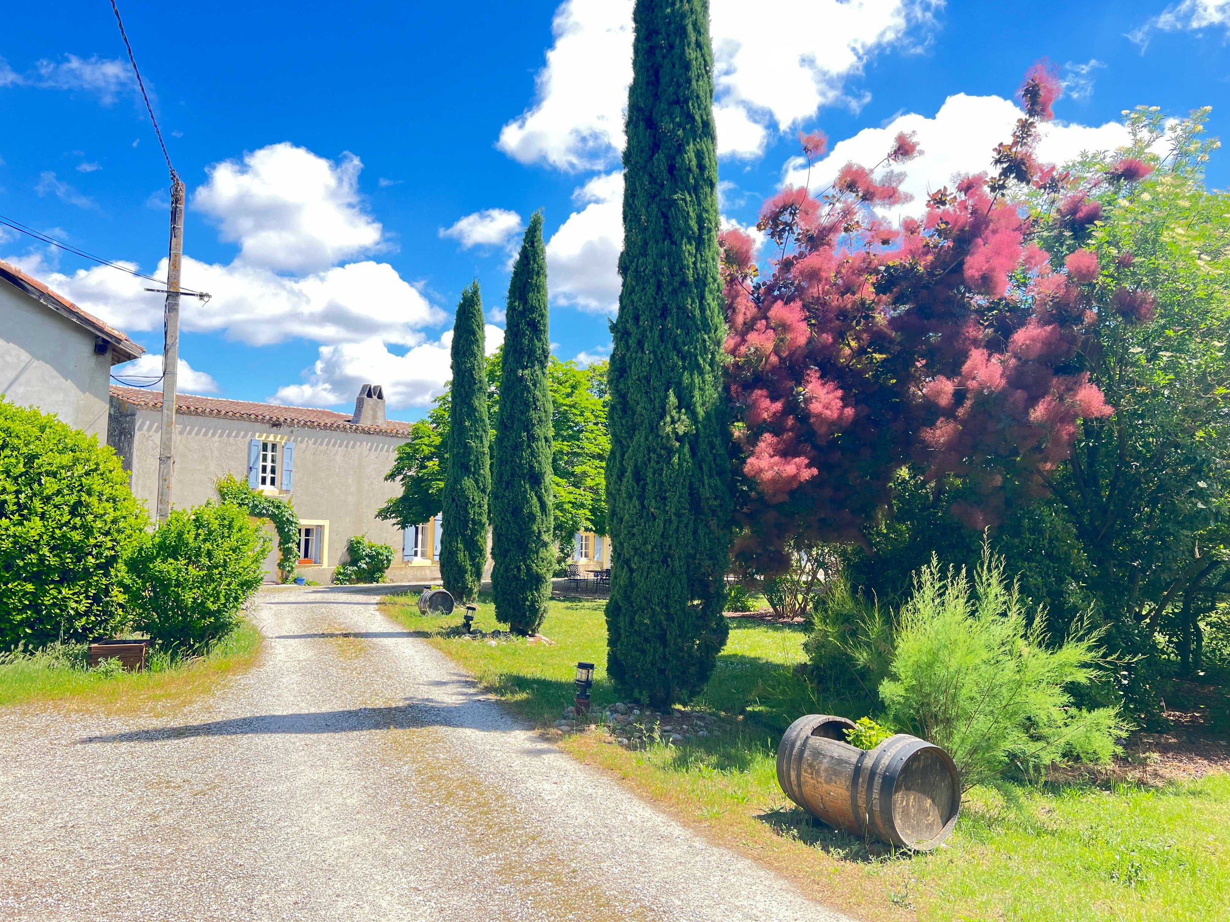 A sunny outdoor scene with a gravel pathway, tall cypress trees, a blooming pink tree, a house with blue shutters, and a clear blue sky with scattered clouds.