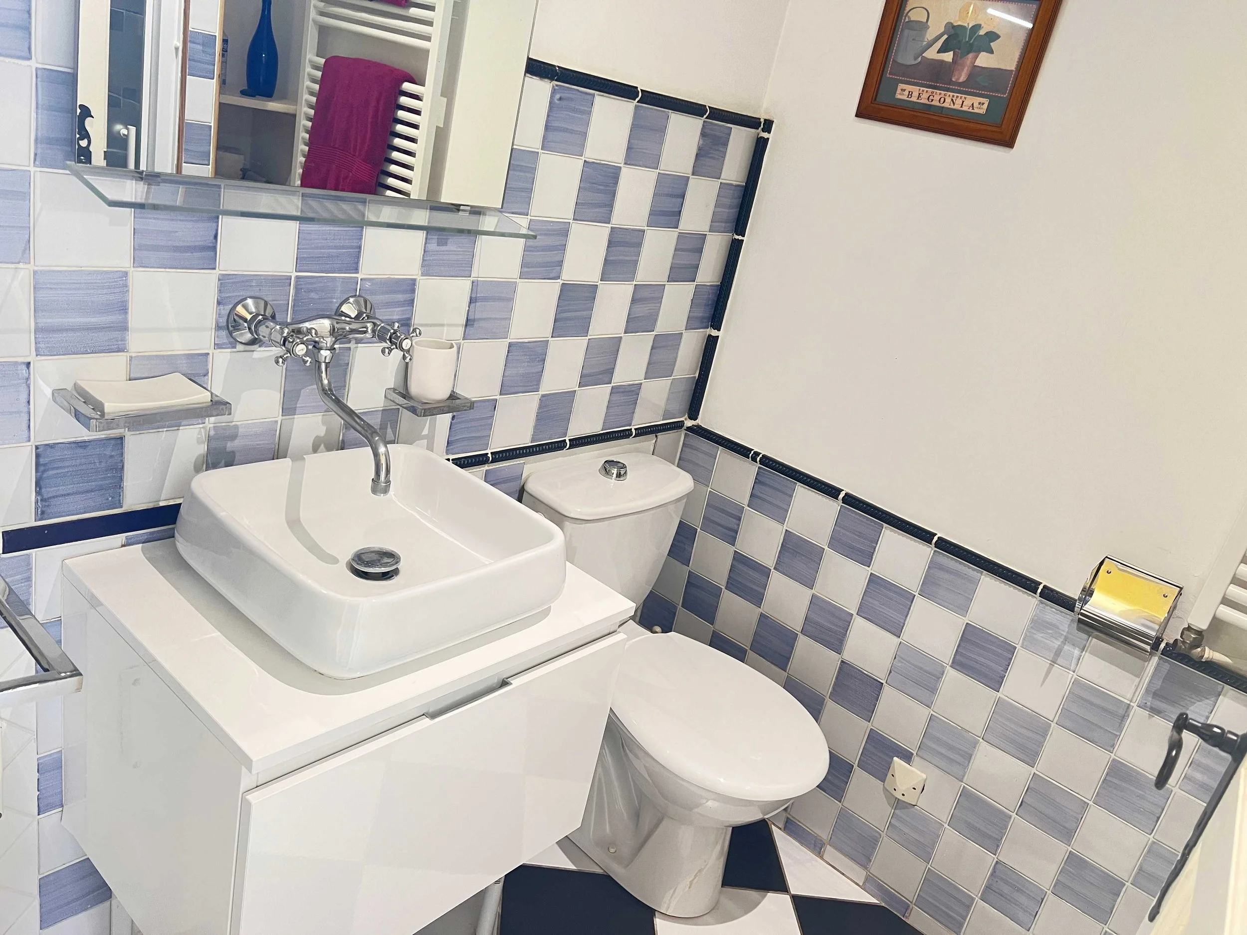 A bathroom with a tile wall featuring blue and white tiles. There is a white sink with a mirror above it, a white toilet, and a pink towel hanging on a white heated towel rail. A framed artwork of a potted plant is hanging on the wall.