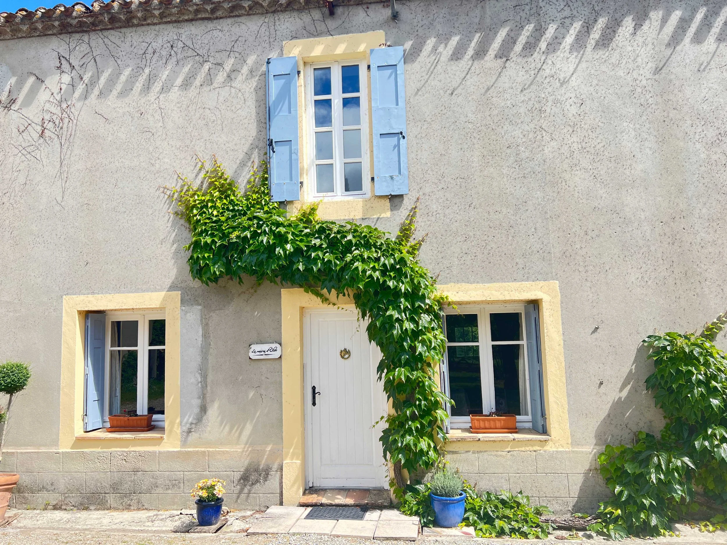 The front of a house with a white door, two windows on either side, and a window above. Green ivy plants grow beside the door and in blue pots on either side of the entrance. Items are seen on the window sill and near the door.
