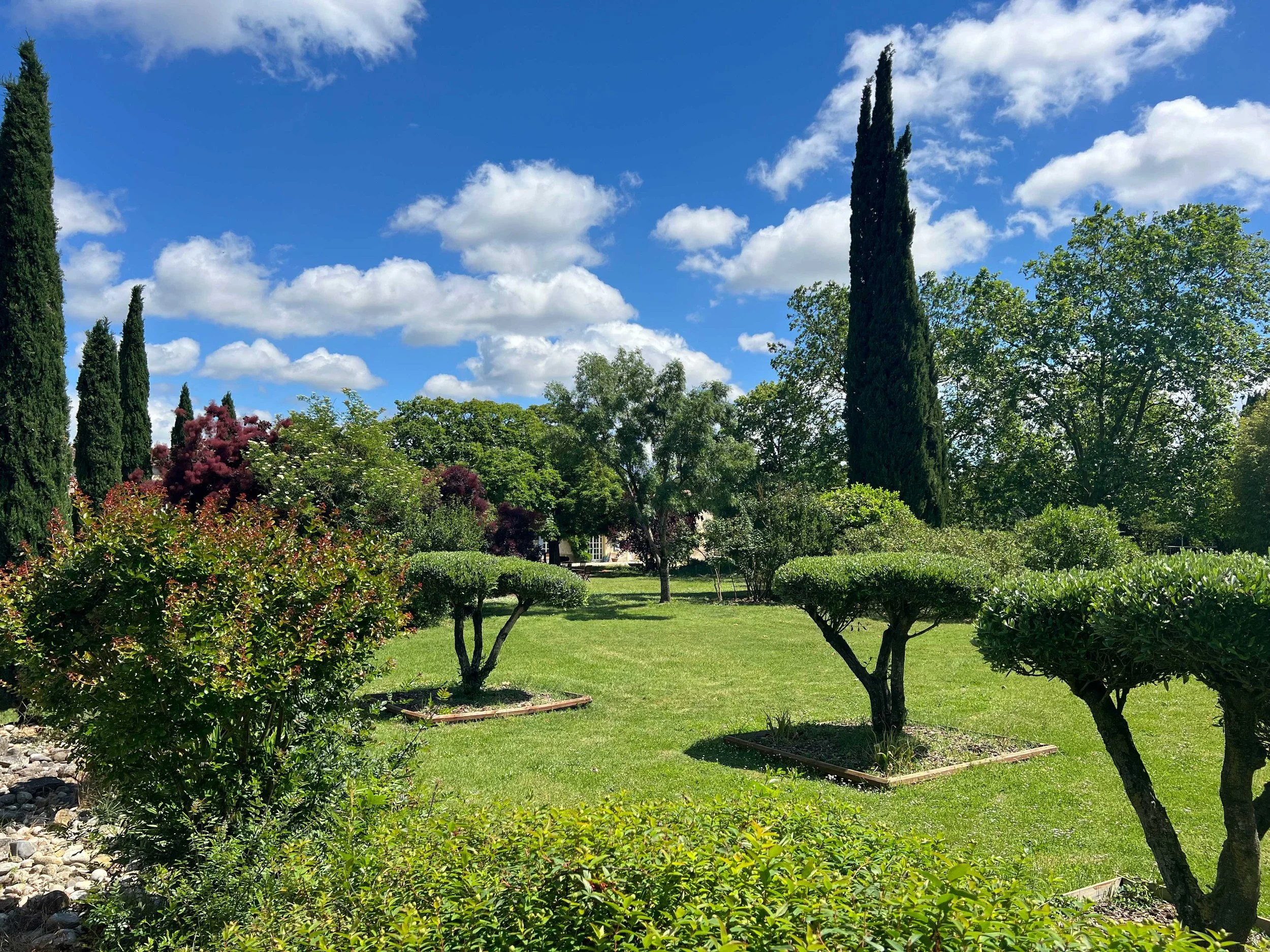 A lush green garden with various trees, bushes, and flowering plants under a bright blue sky with scattered clouds.