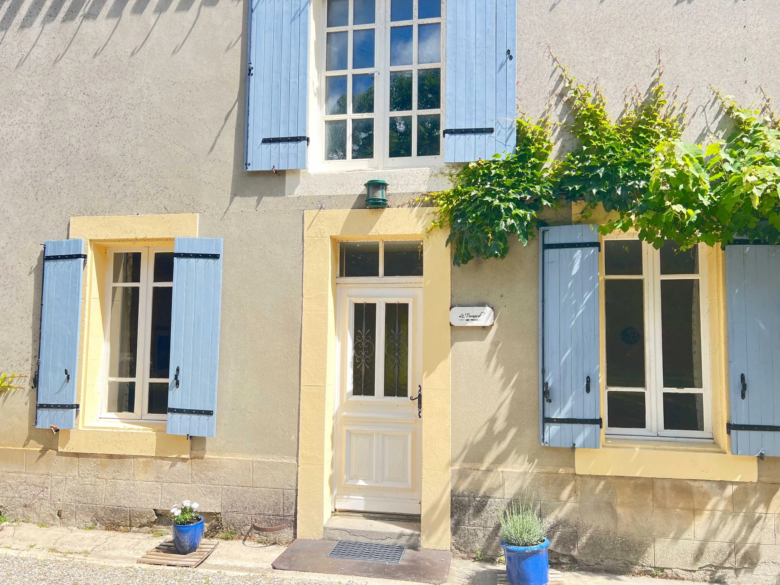 A light-colored house with blue window shutters, a small door in the middle, and a small window above the door. There are two potted plants, one on each side of the door, and a tree with green leaves growing close to the house on the right side.