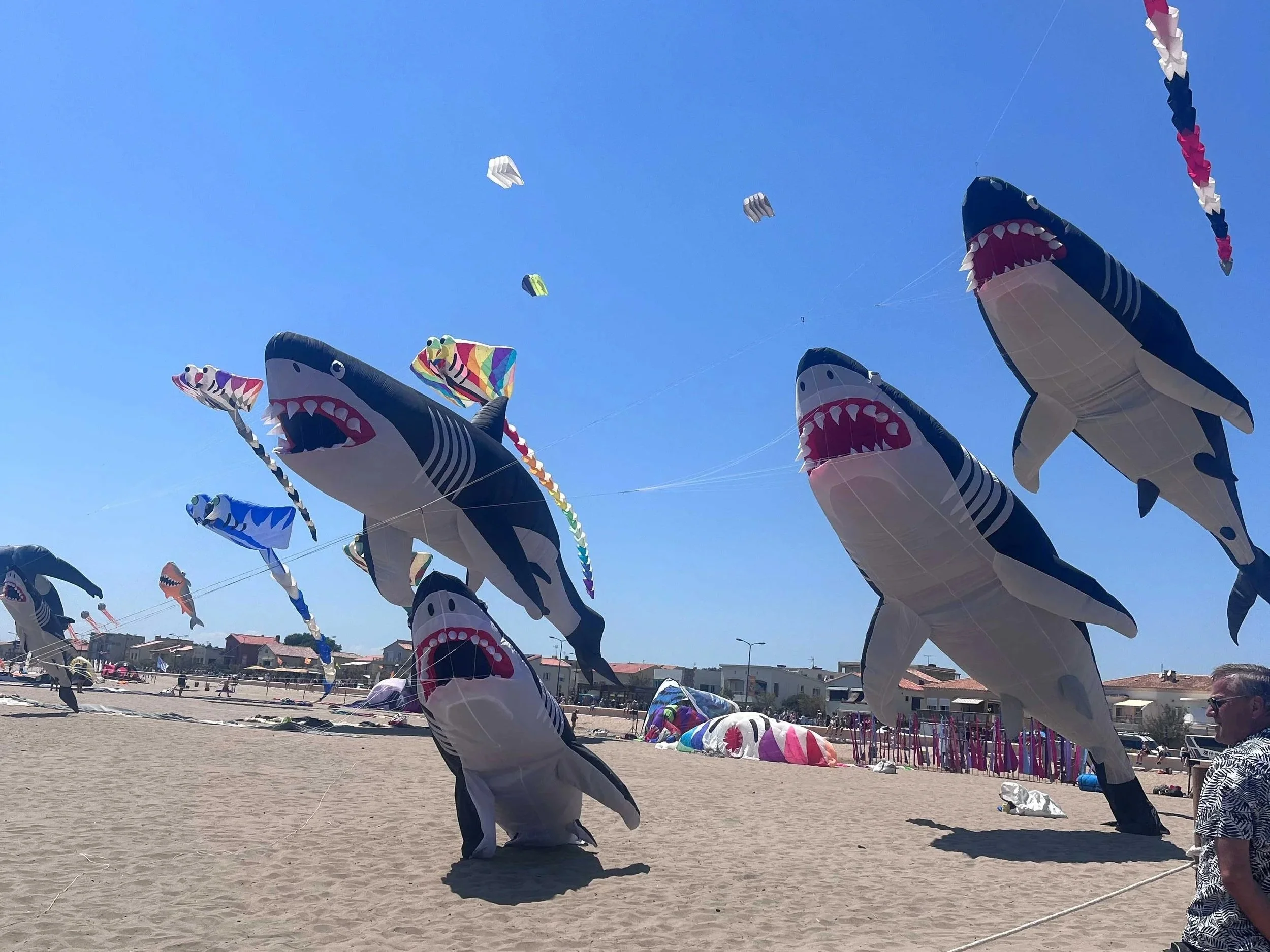 Multiple large shark-shaped inflatable kites flying in a clear blue sky during a kite festival.