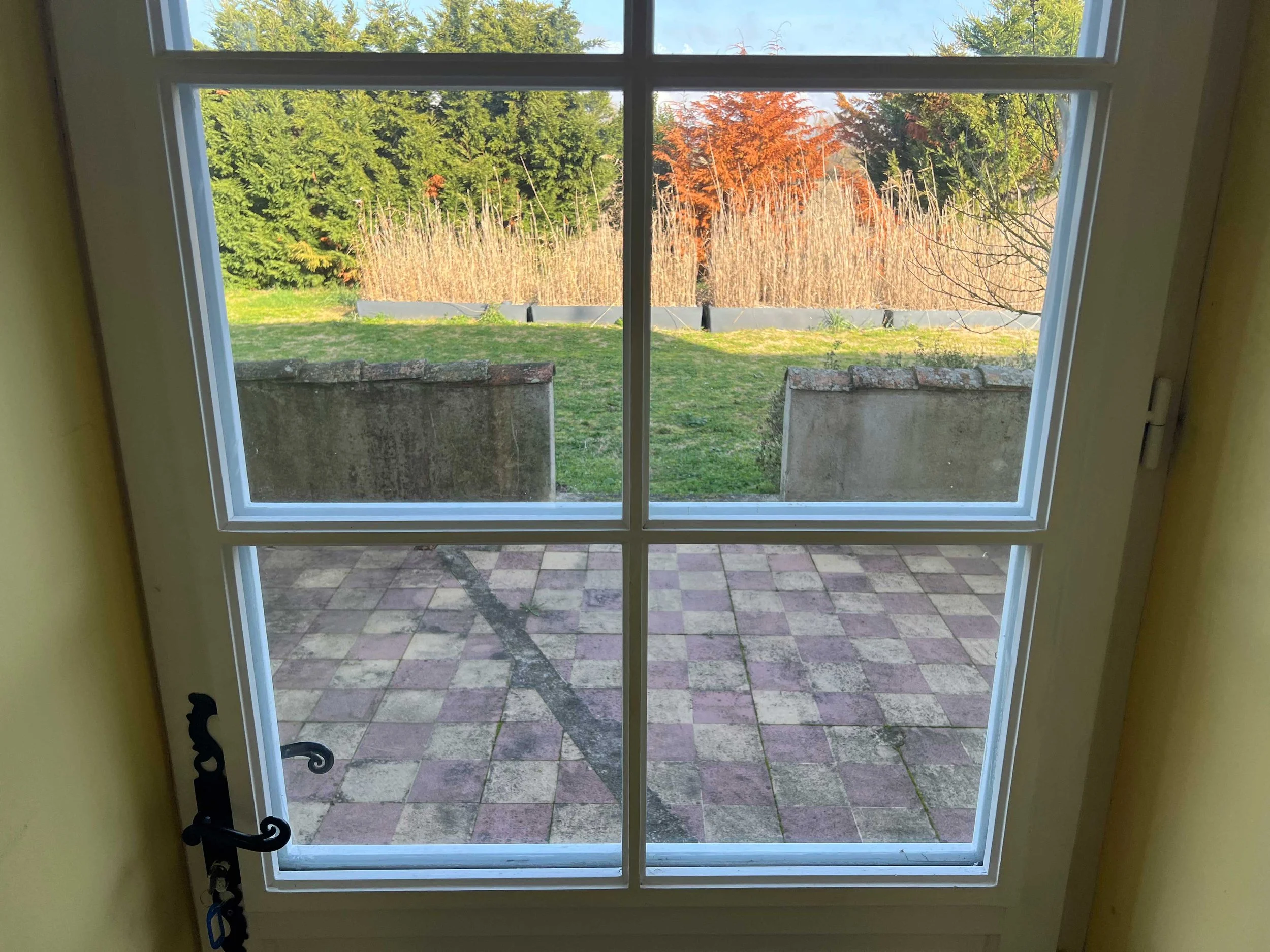 Looking out a window onto a small patio with pink and gray checkered tiles, a concrete ledge, and a grassy yard with trees and shrubs in the background, during daytime.