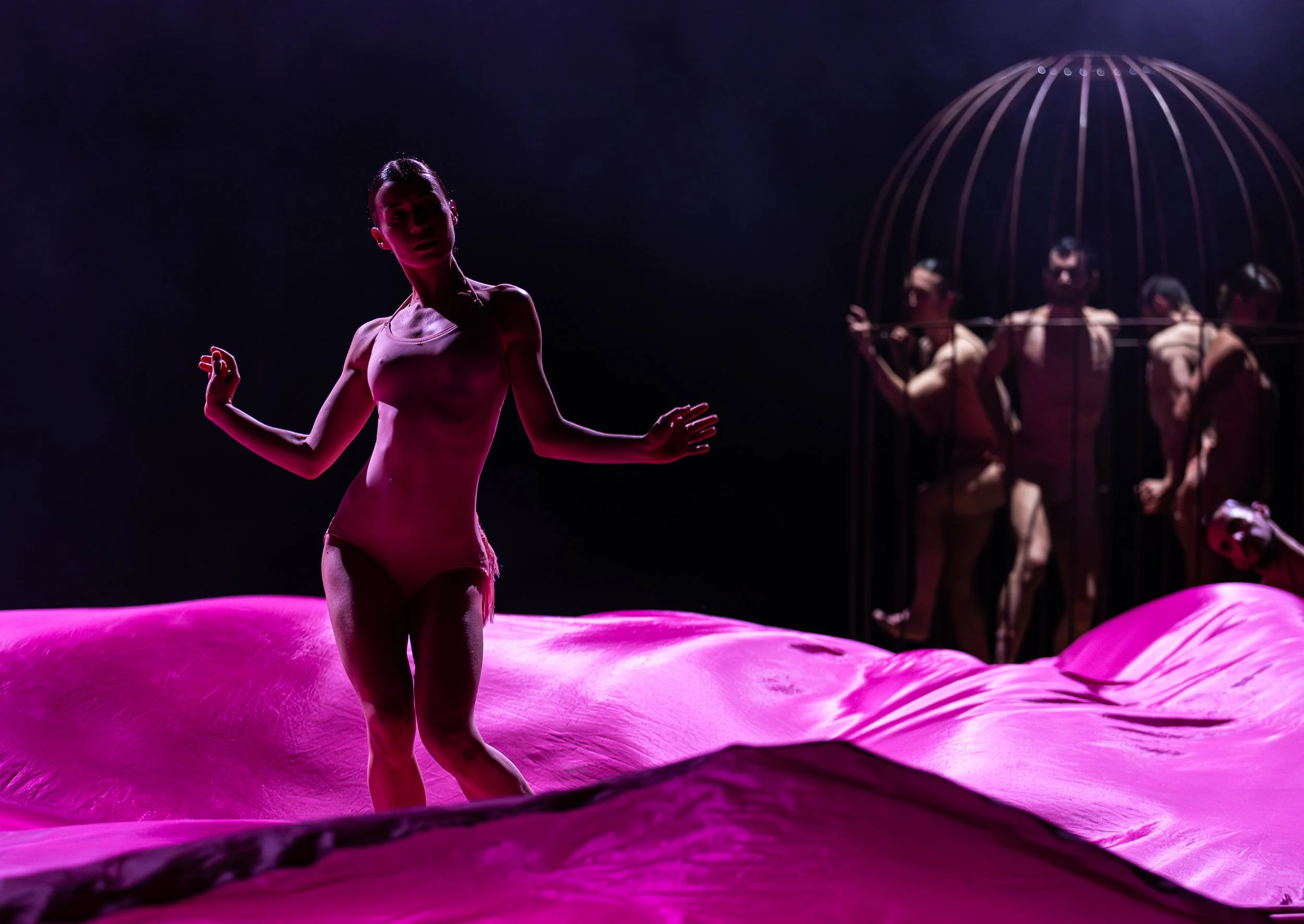 Kopie van foto 05 Flamingo by Sylvain Guillot.jpg