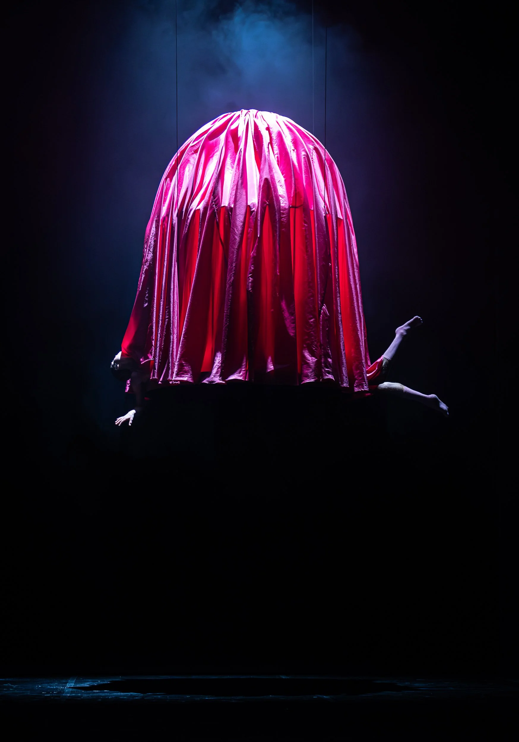 Flamingo foto 3 .jpg