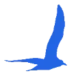 Innisfree Counseling