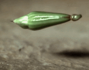 A metallic green bullet drops onto a surface and bounces.