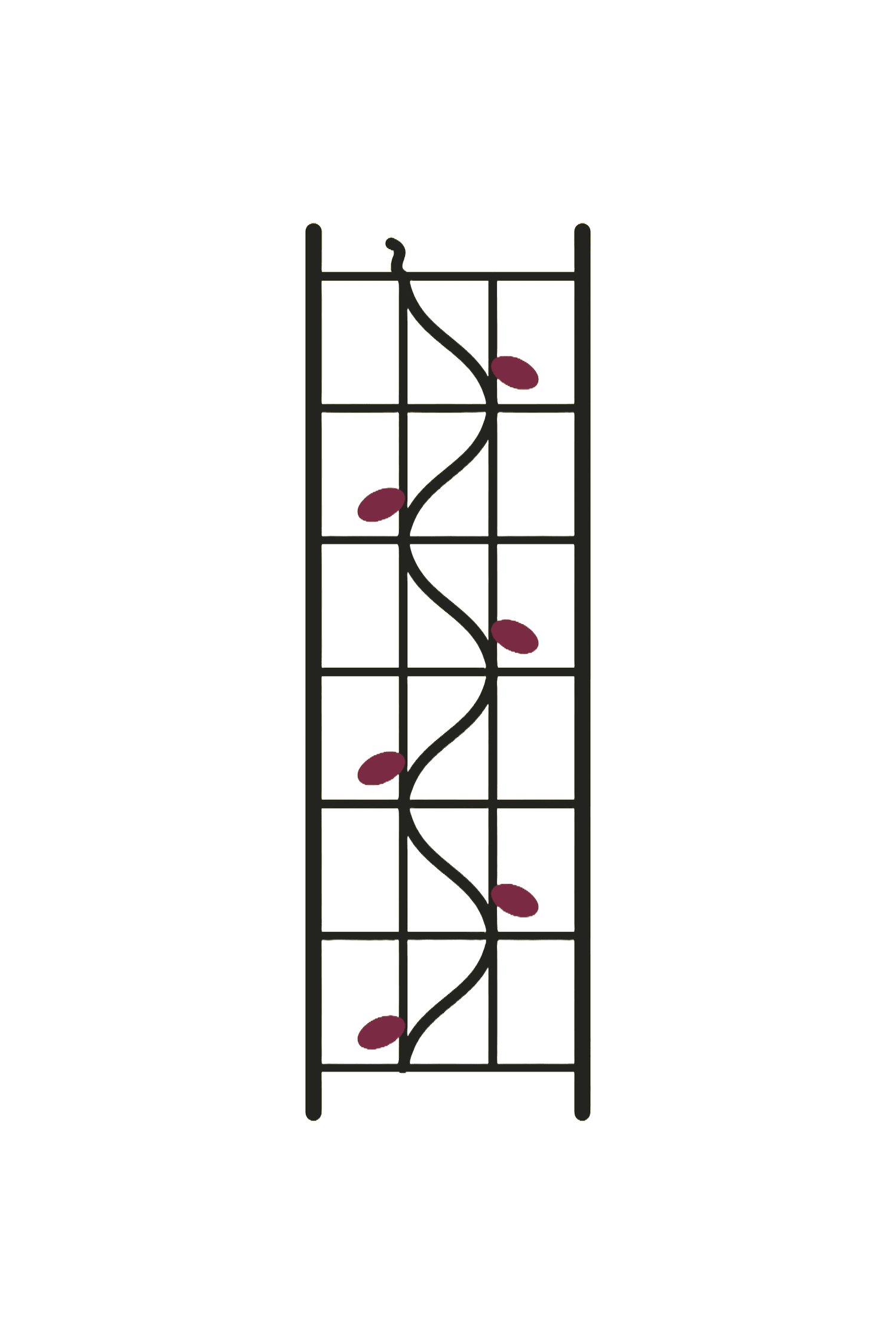 Trellis Careers