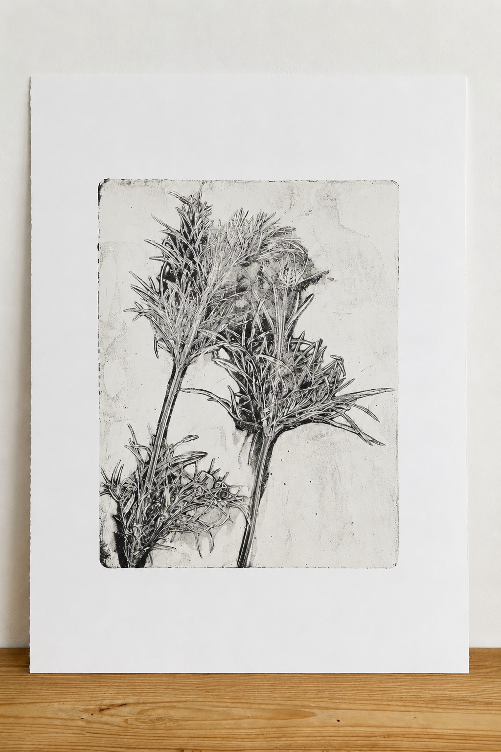 Thistle