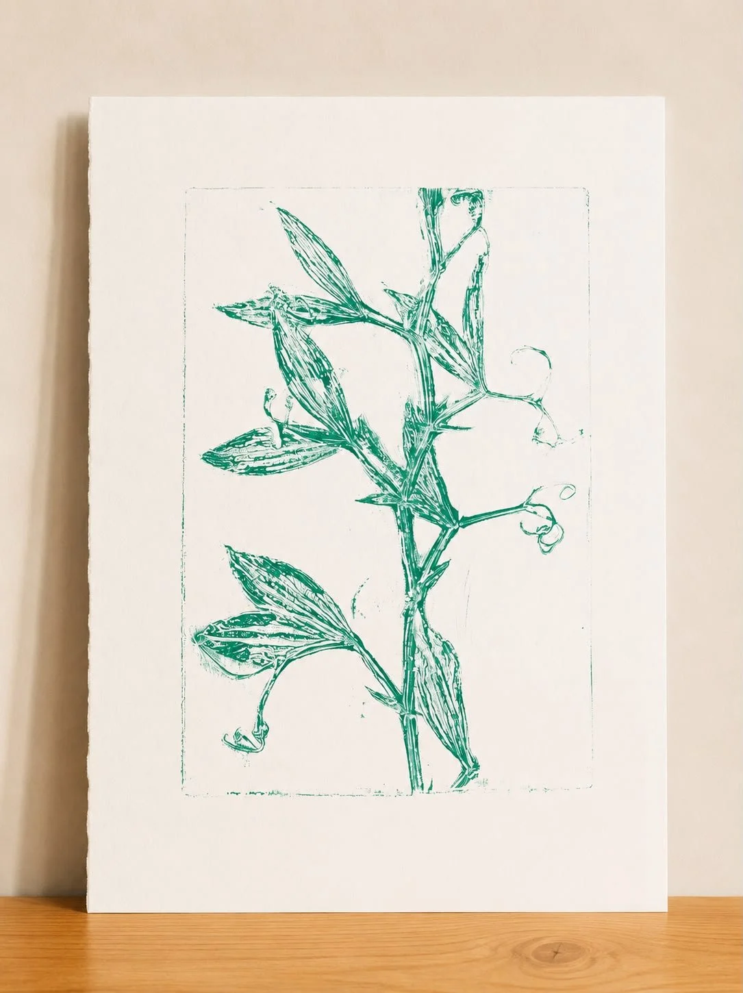 Sweet Pea 2