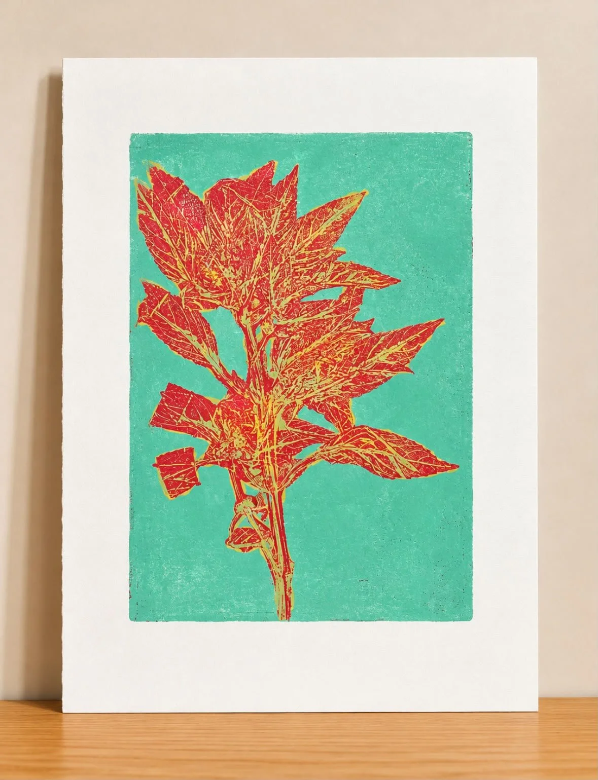Murcurialis