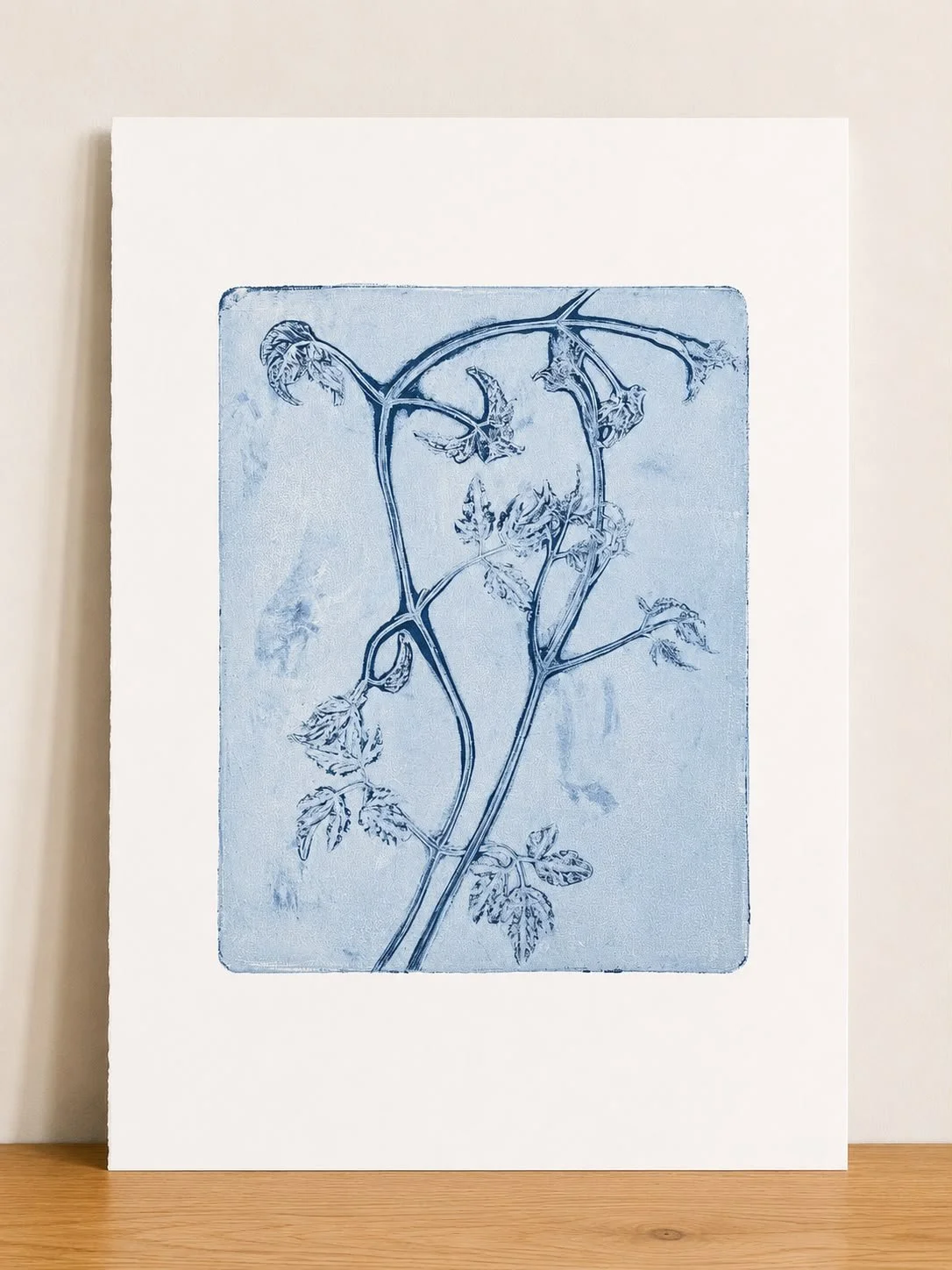 Blue Clematis