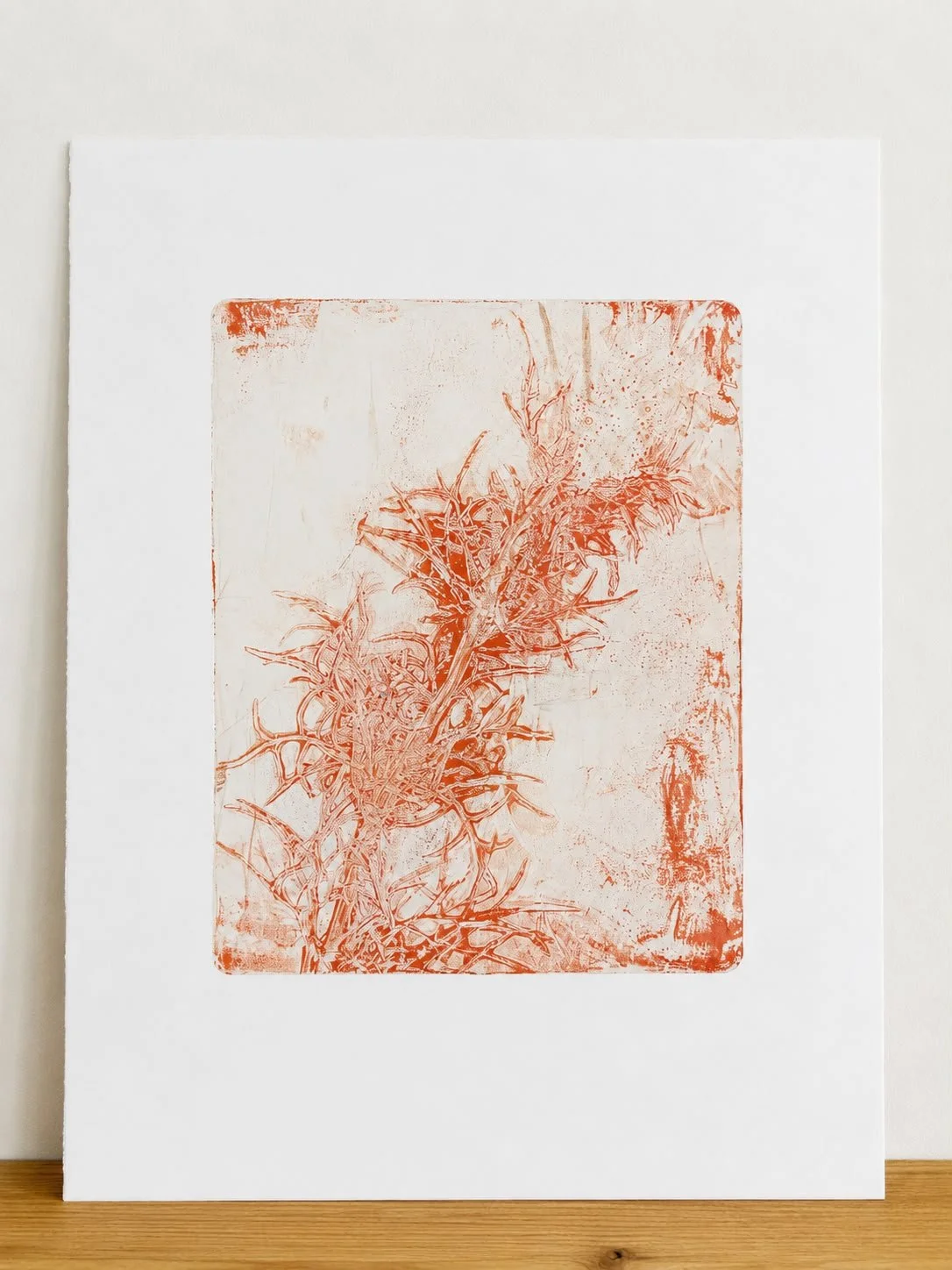 Red Thistle