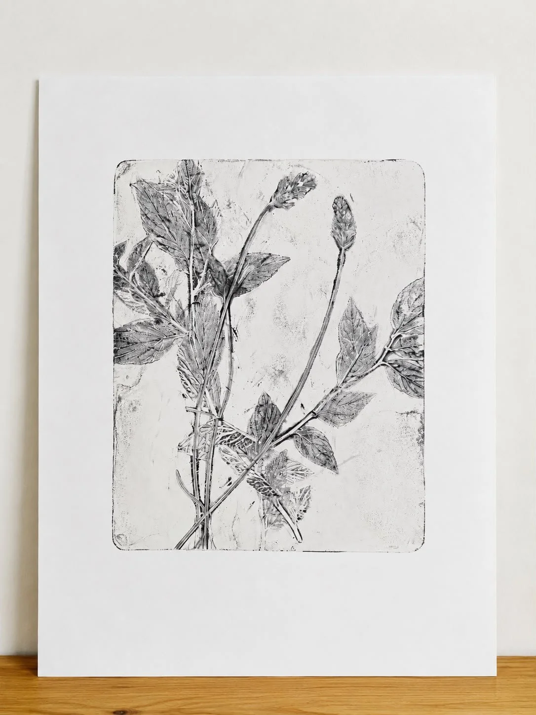 Lavender/Fauna