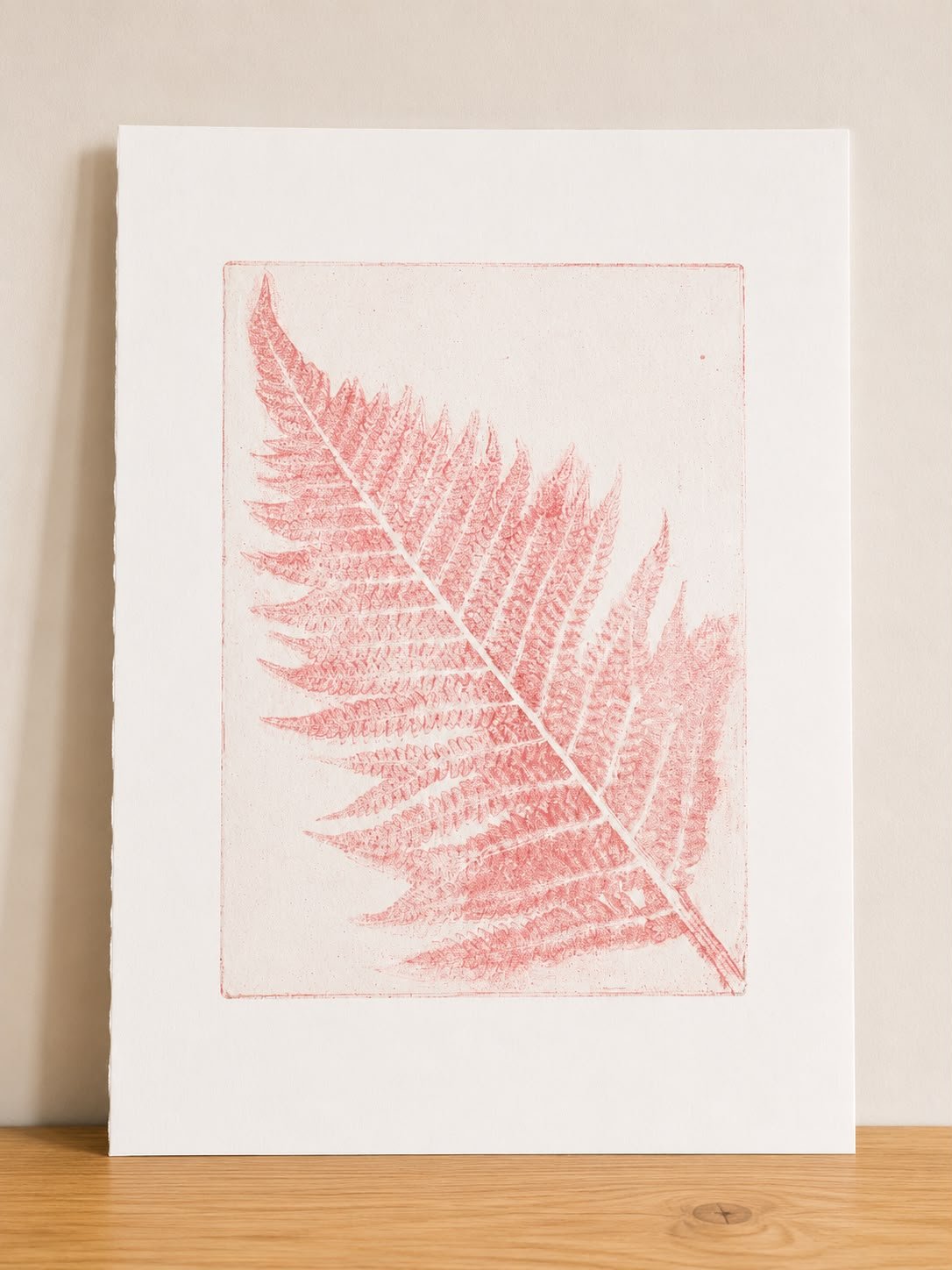 Pink Fern