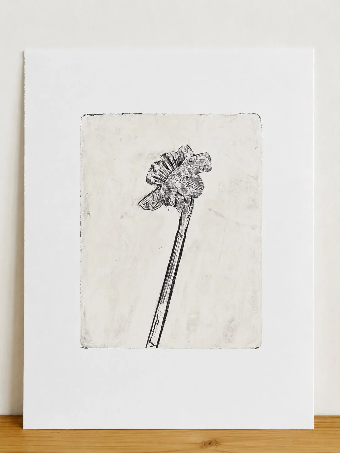 Daffodil