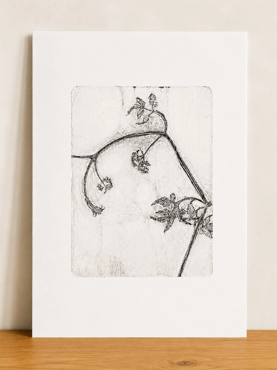 Clematis 2