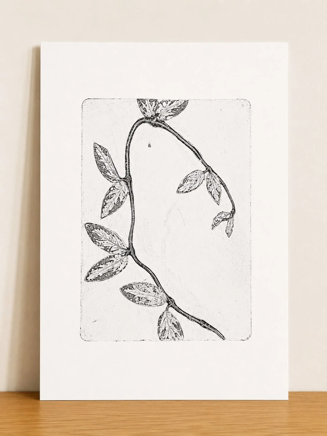 Clematis 3