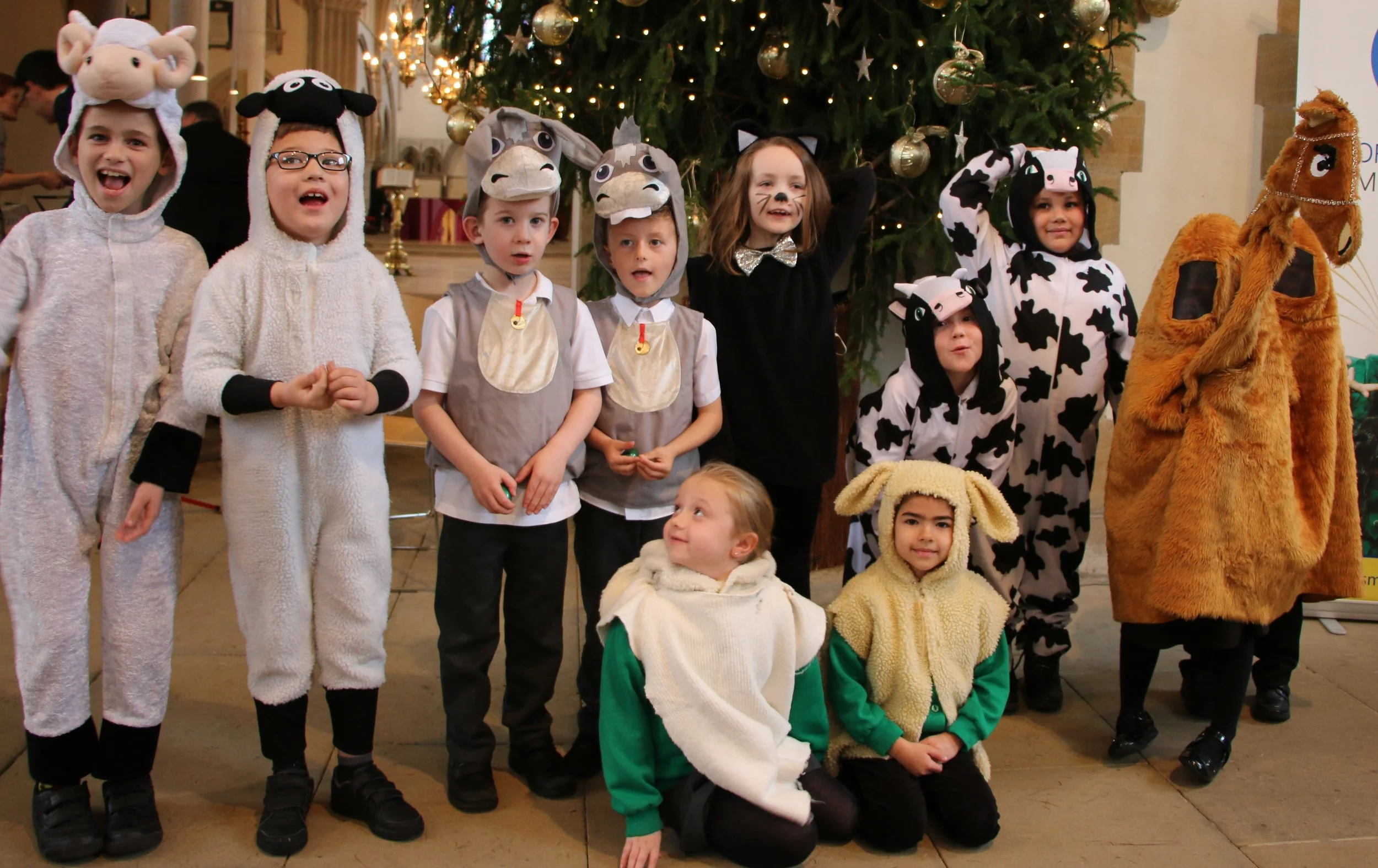 Special Christmas Celebration