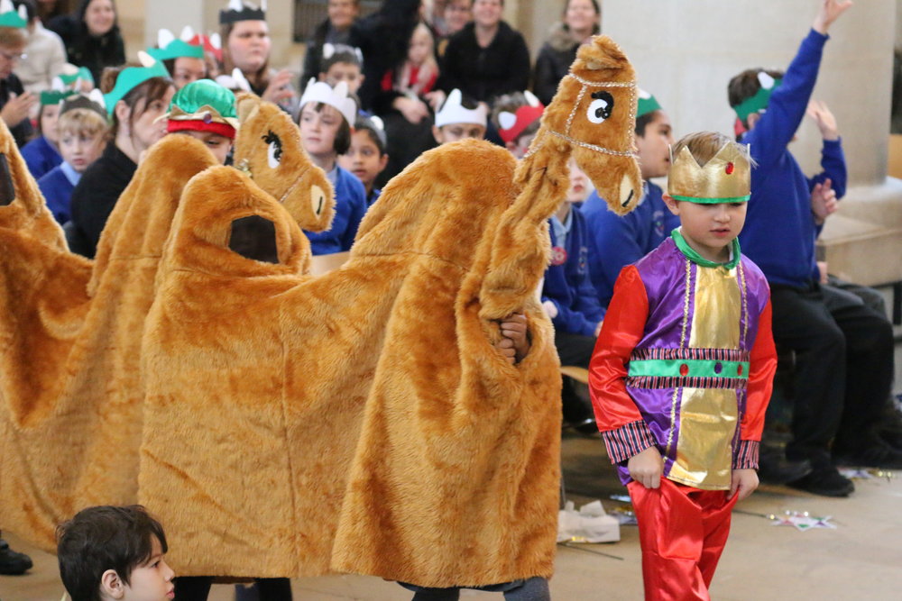 A Wise Man and his camels make their entrance!