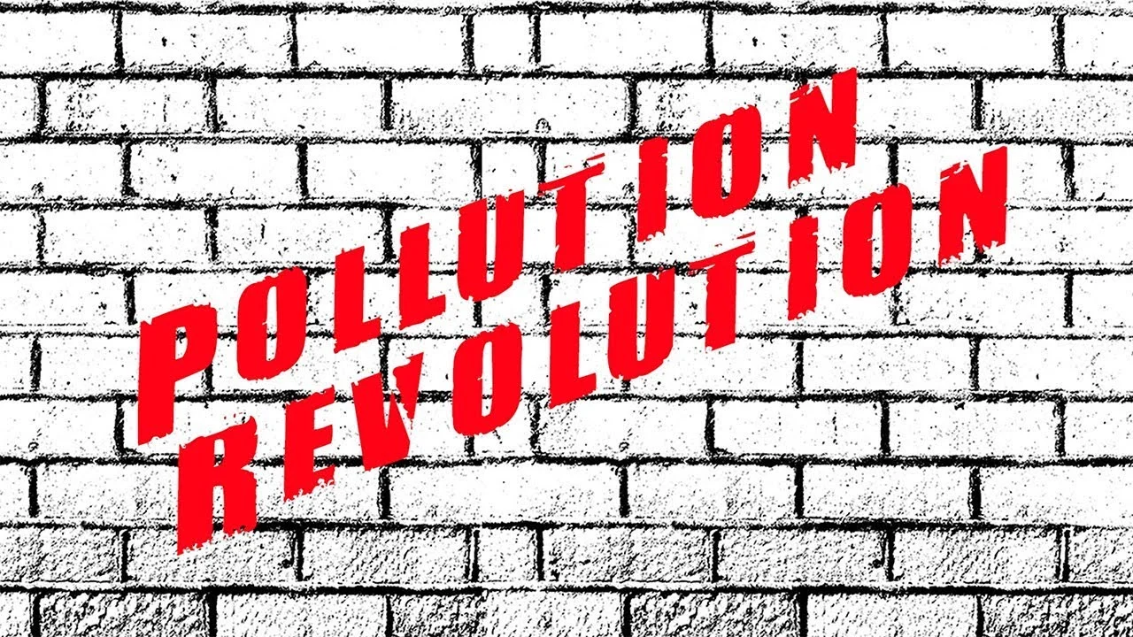 POLLUTION REVOLUTION