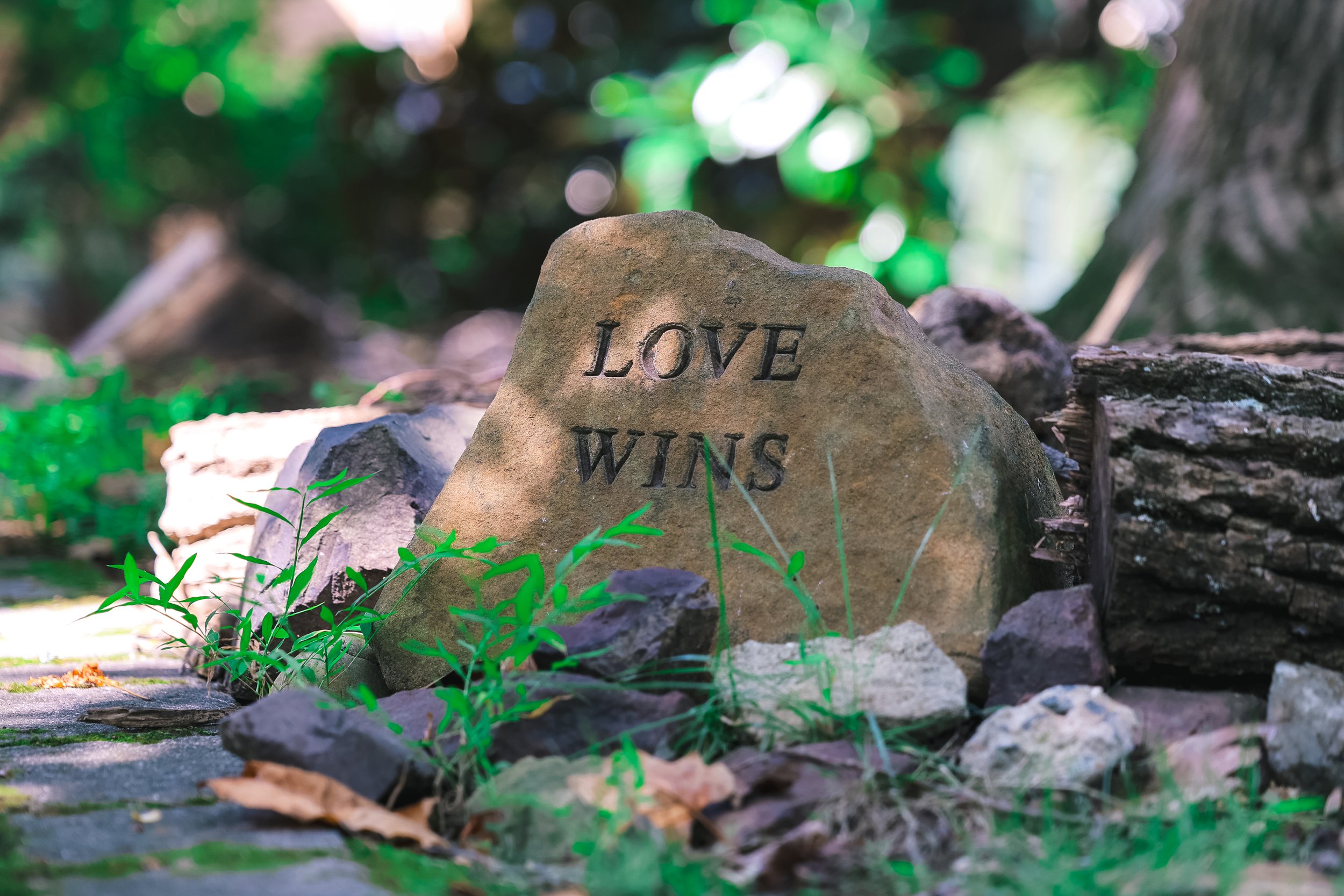 Episcopal Church of the Holy Cross: a rock with the words "Love Wins" carved into it sits next to a path with green plants around it and dappled lighting.