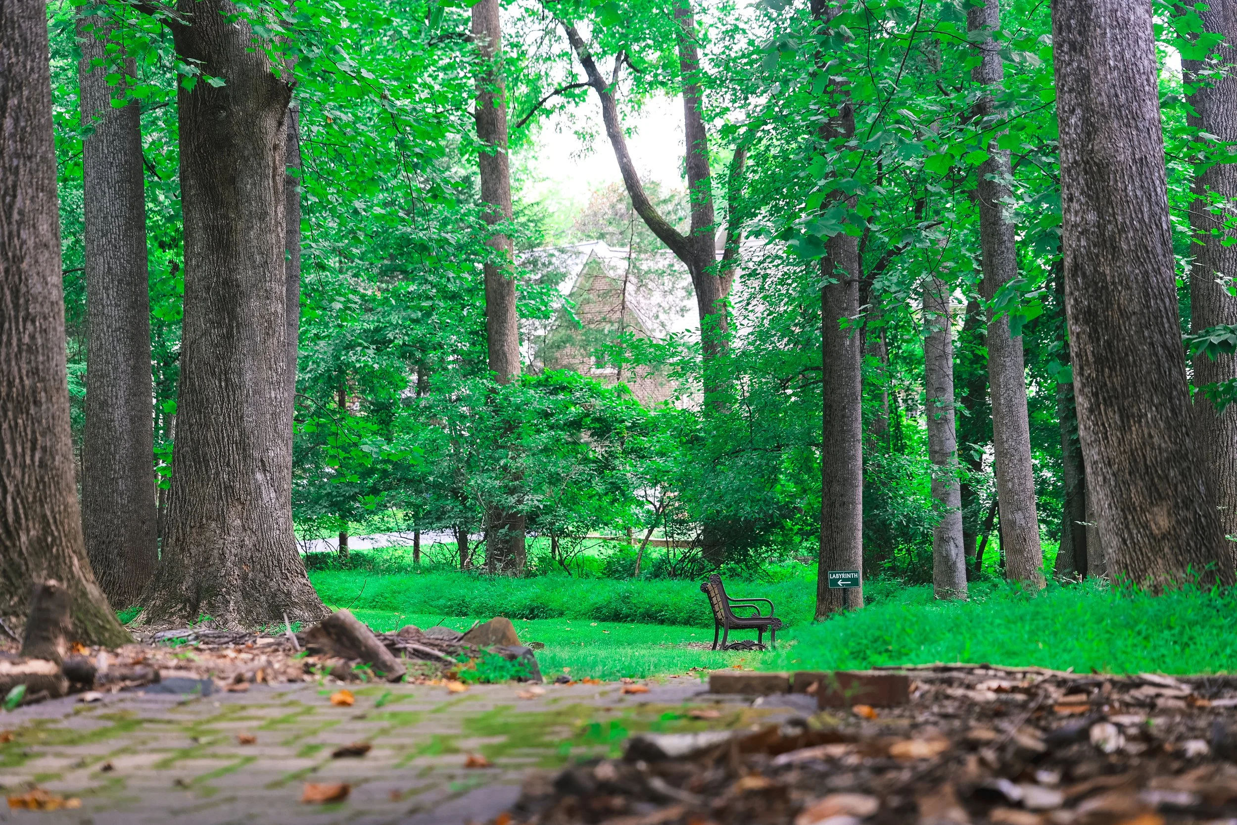 Episcopal Church of the Holy Cross: A park bench in the distance surrounded by greenery and trees in the Memorial Garden.